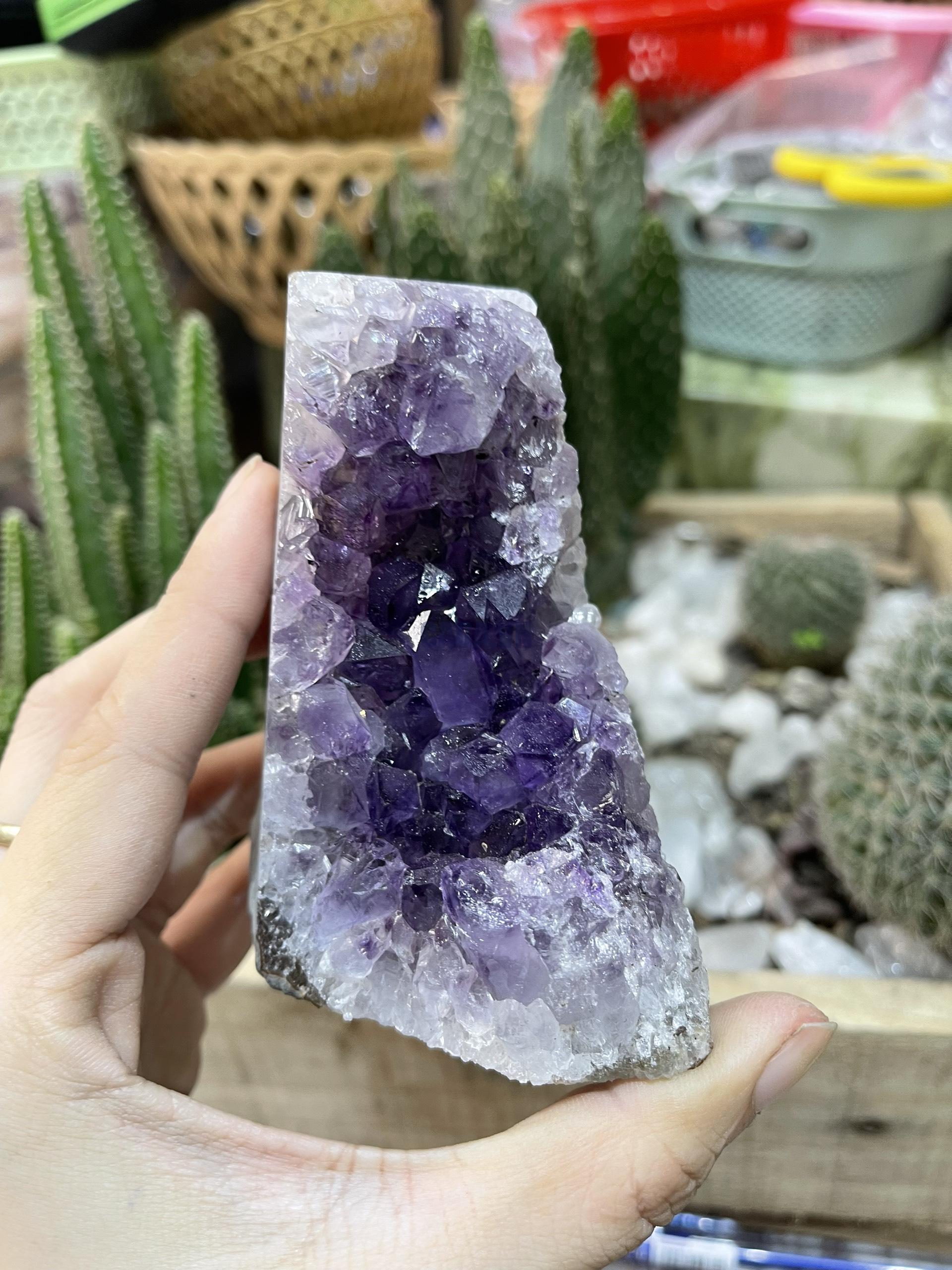 HỐC THẠCH ANH TÍM NHỎ - SMALL AMETHYST GEODE (TV126)