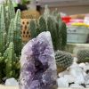 HỐC THẠCH ANH TÍM NHỎ - SMALL AMETHYST GEODE (TV127)