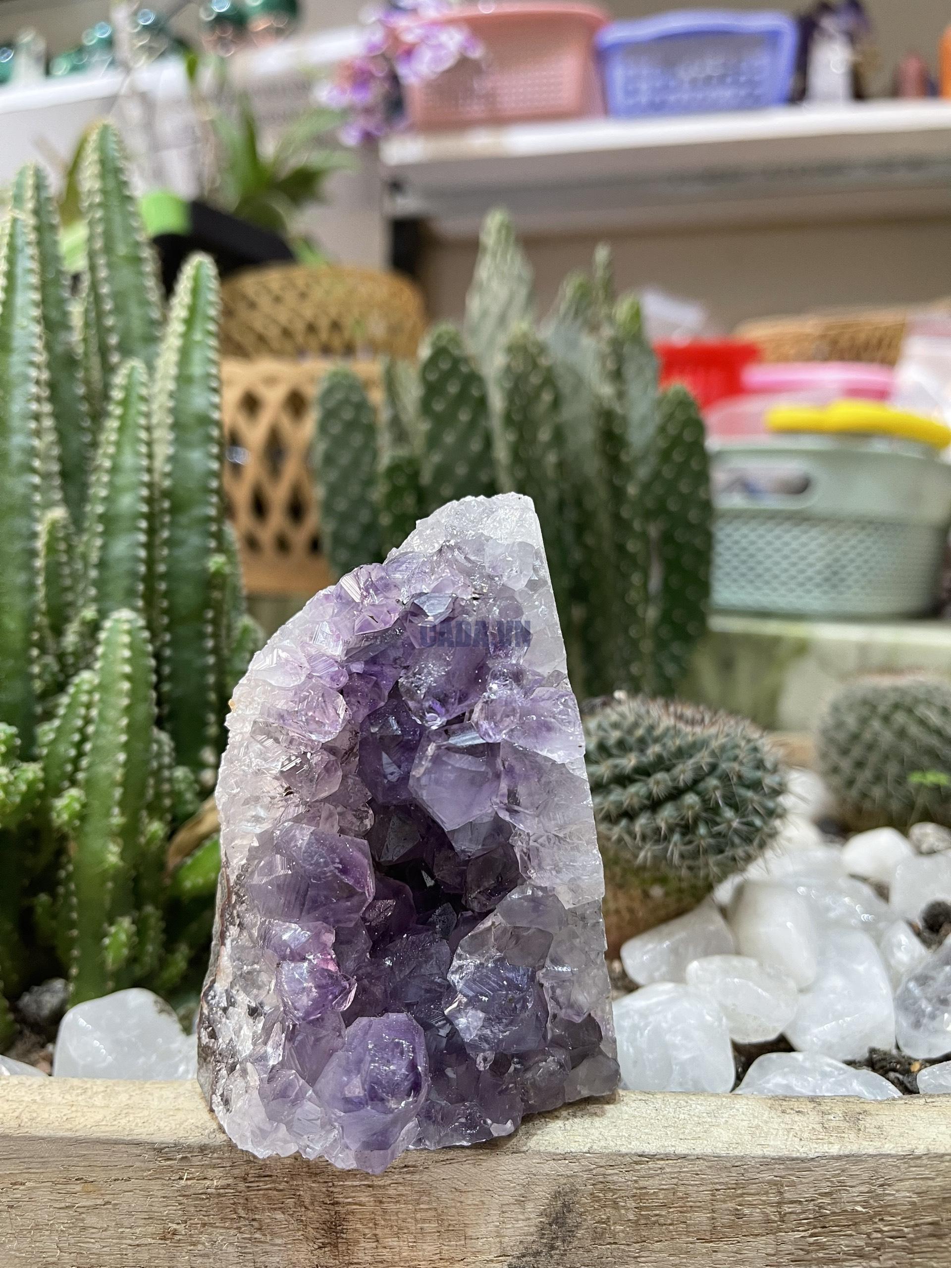 HỐC THẠCH ANH TÍM NHỎ - SMALL AMETHYST GEODE (TV127)