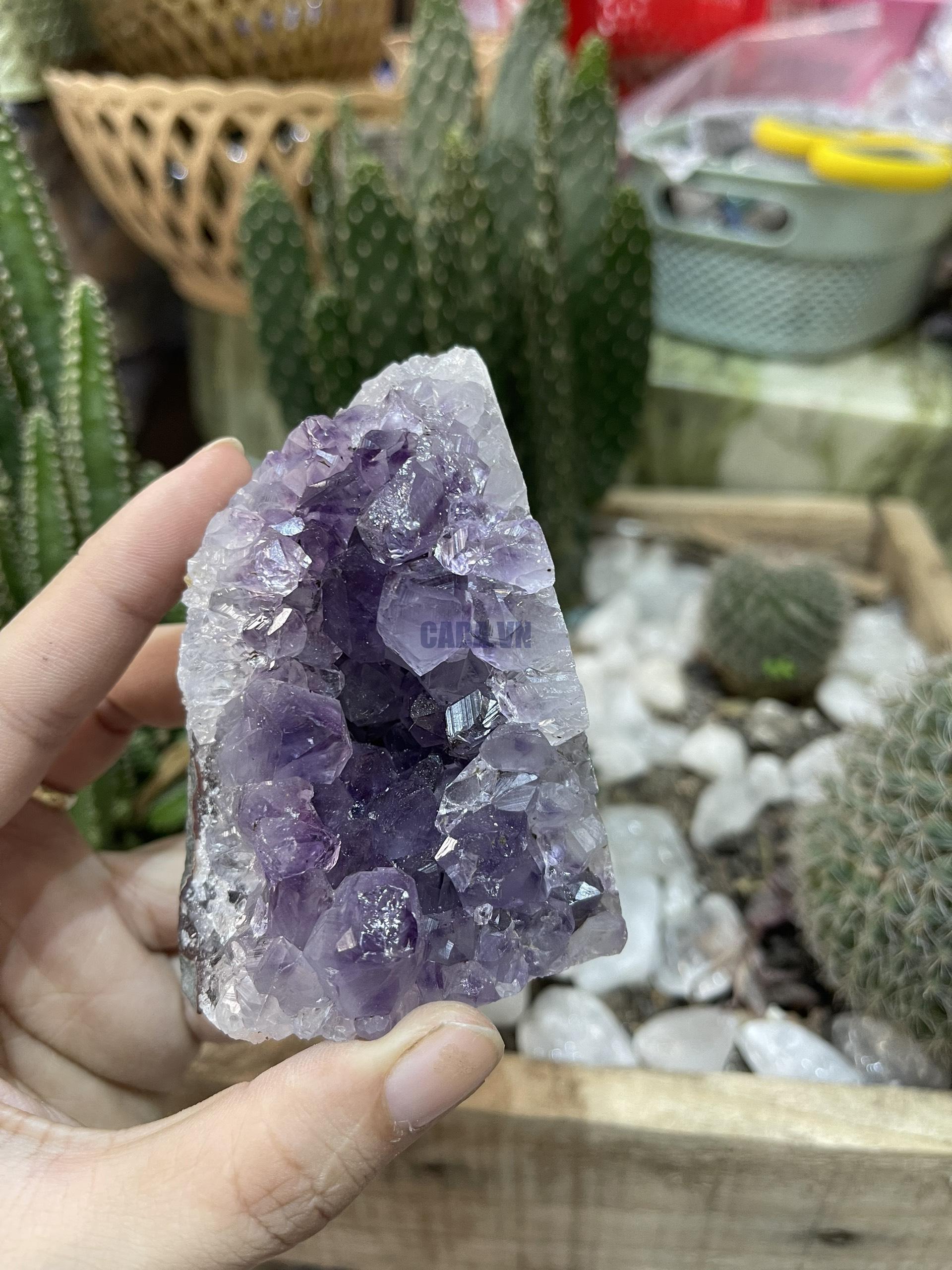 HỐC THẠCH ANH TÍM NHỎ - SMALL AMETHYST GEODE (TV127)