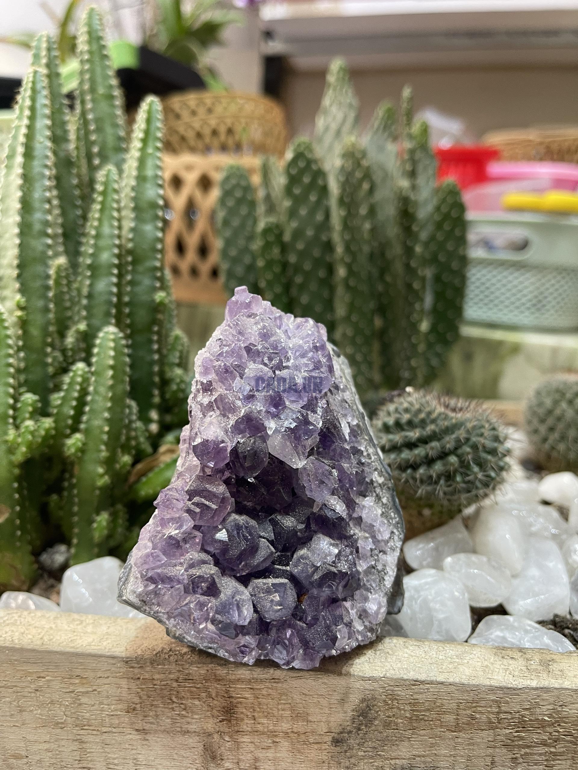 HỐC THẠCH ANH TÍM NHỎ - SMALL AMETHYST GEODE (TV129)