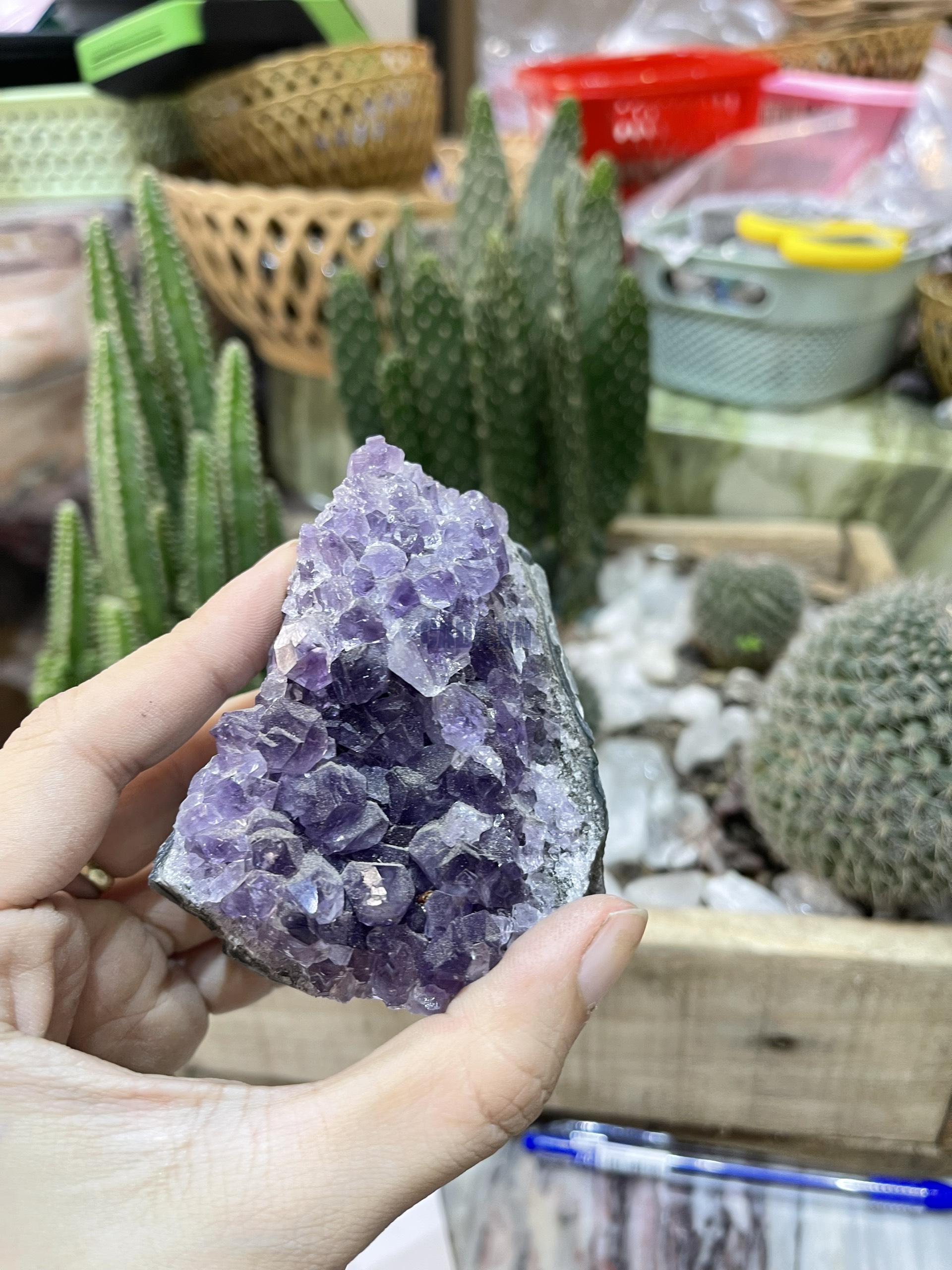 HỐC THẠCH ANH TÍM NHỎ - SMALL AMETHYST GEODE (TV129)