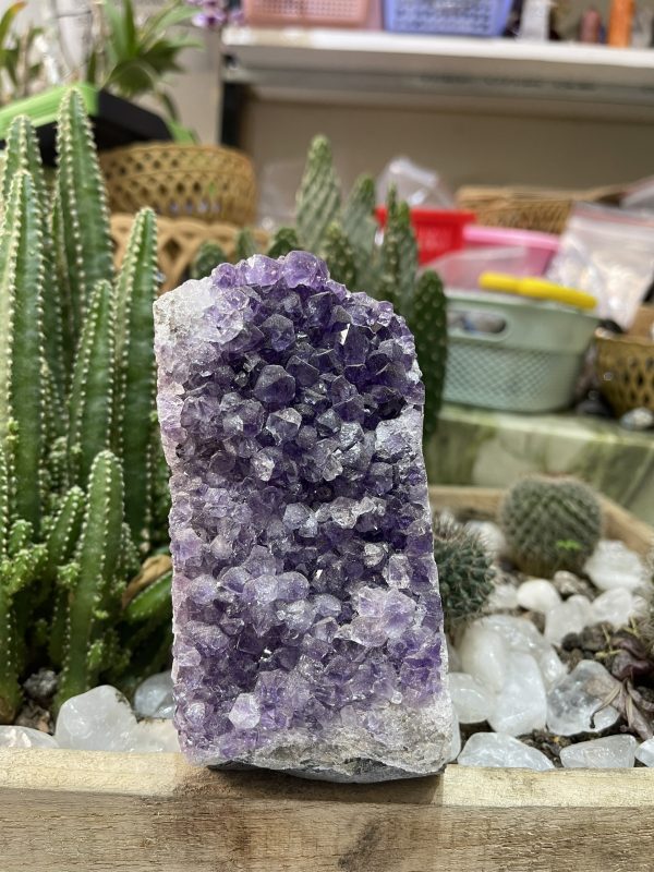 HỐC THẠCH ANH TÍM NHỎ - SMALL AMETHYST GEODE (TV130)
