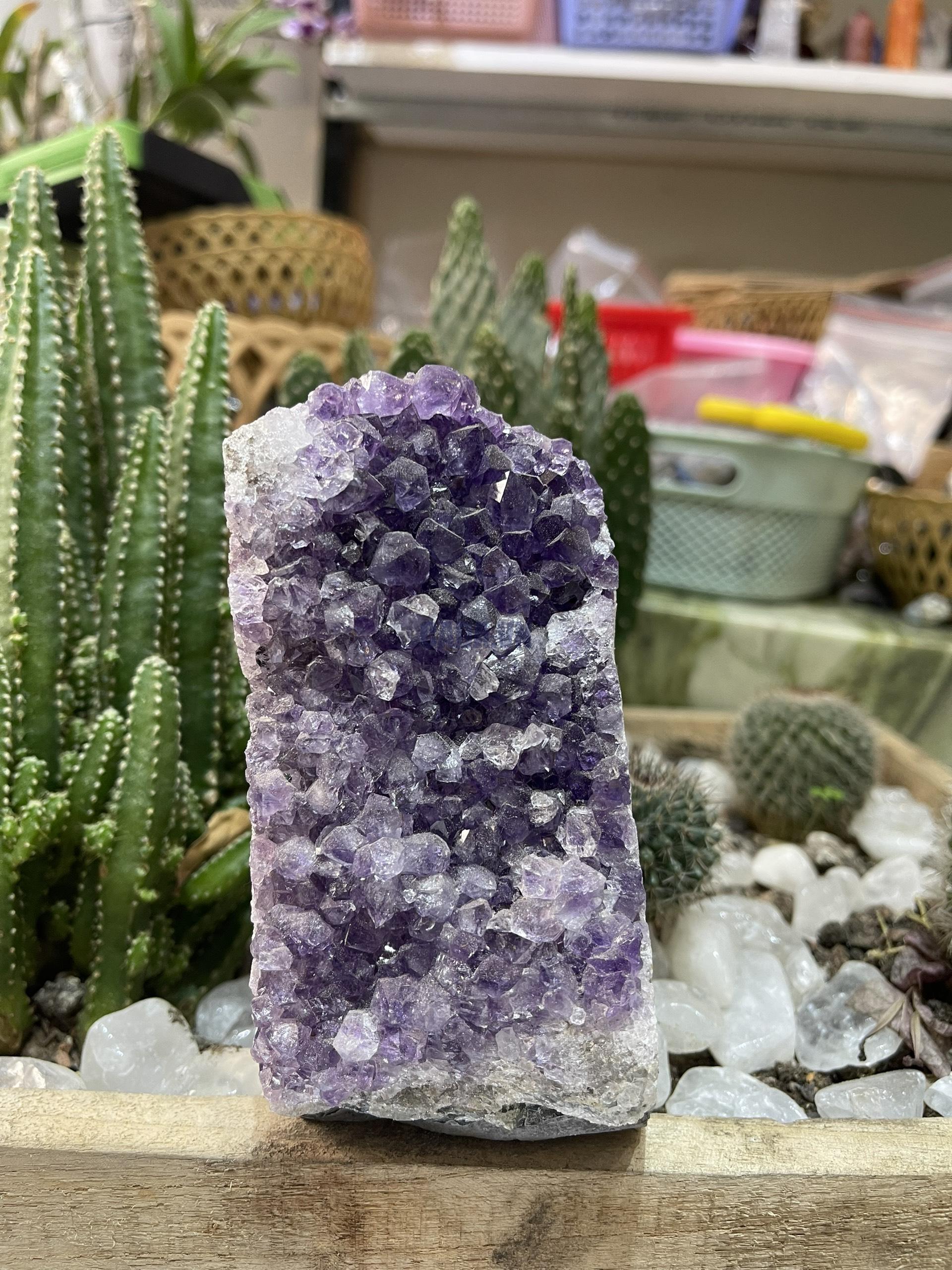 HỐC THẠCH ANH TÍM NHỎ - SMALL AMETHYST GEODE (TV130)