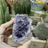 HỐC THẠCH ANH TÍM NHỎ - SMALL AMETHYST GEODE (TV131)