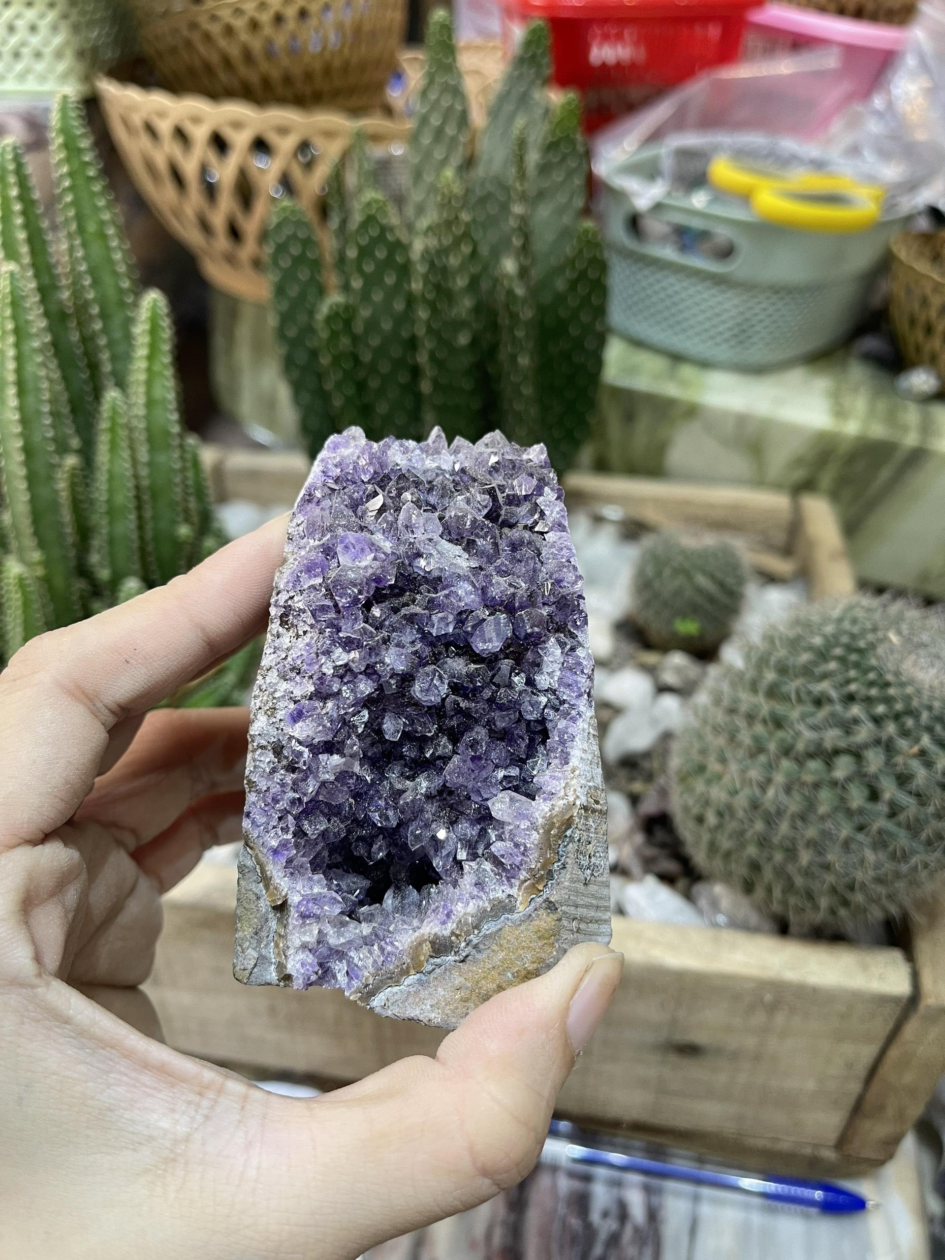 HỐC THẠCH ANH TÍM NHỎ - SMALL AMETHYST GEODE (TV131)