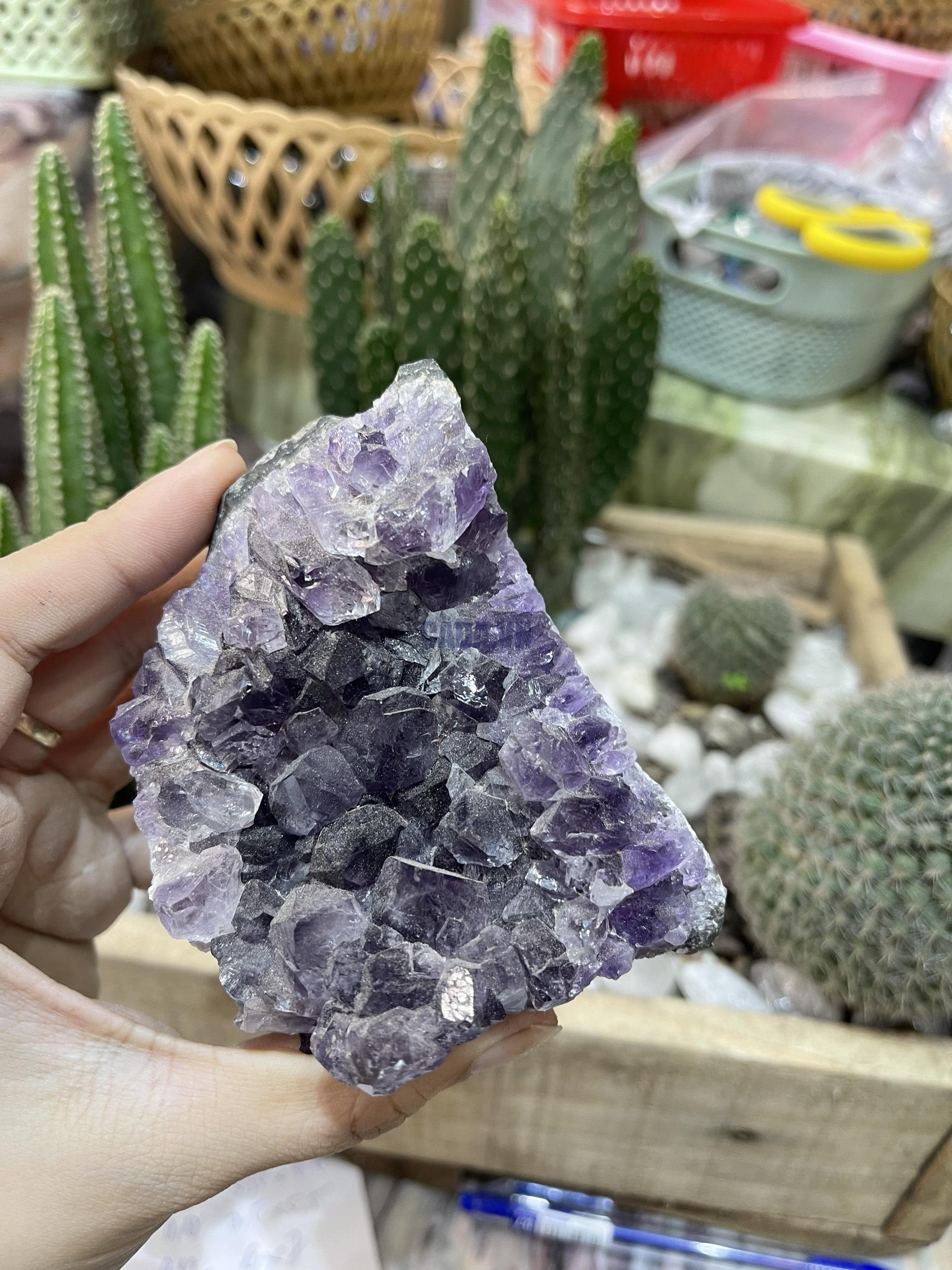 HỐC THẠCH ANH TÍM NHỎ - SMALL AMETHYST GEODE (TV133)