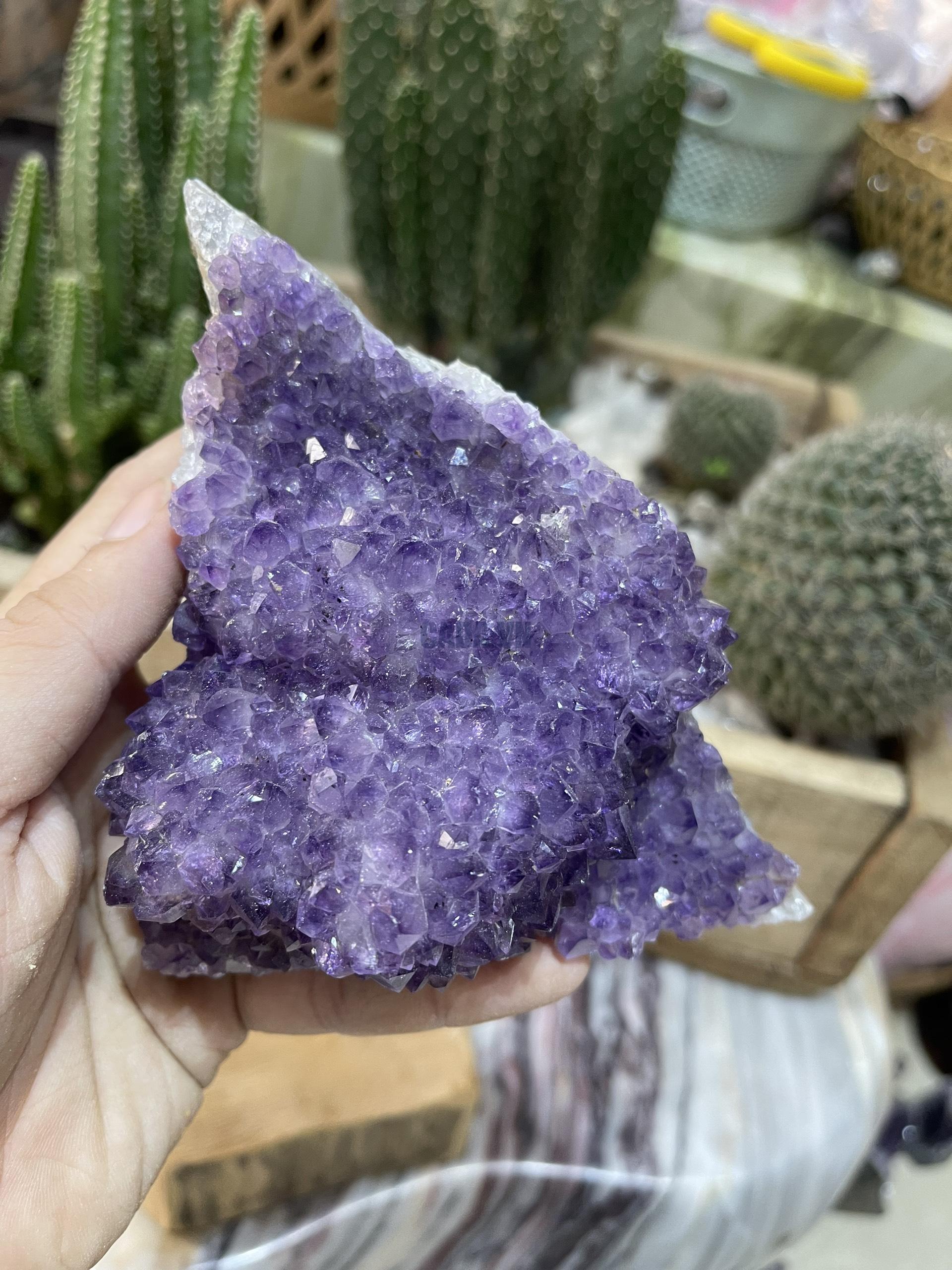 Thạch Anh Tím Uruguay - Uruguay Amethyst Cluster (TV137)