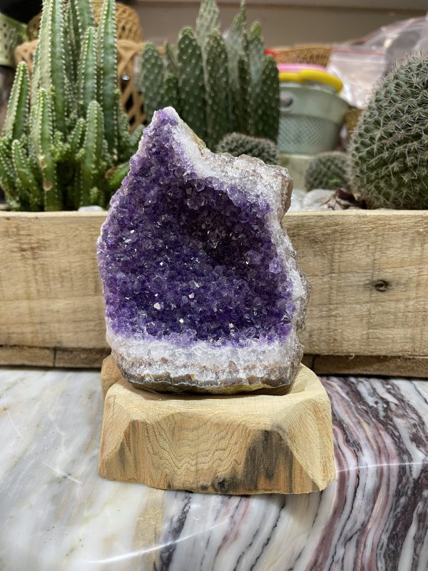 Thạch Anh Tím Uruguay - Uruguay Amethyst Cluster (TV142)