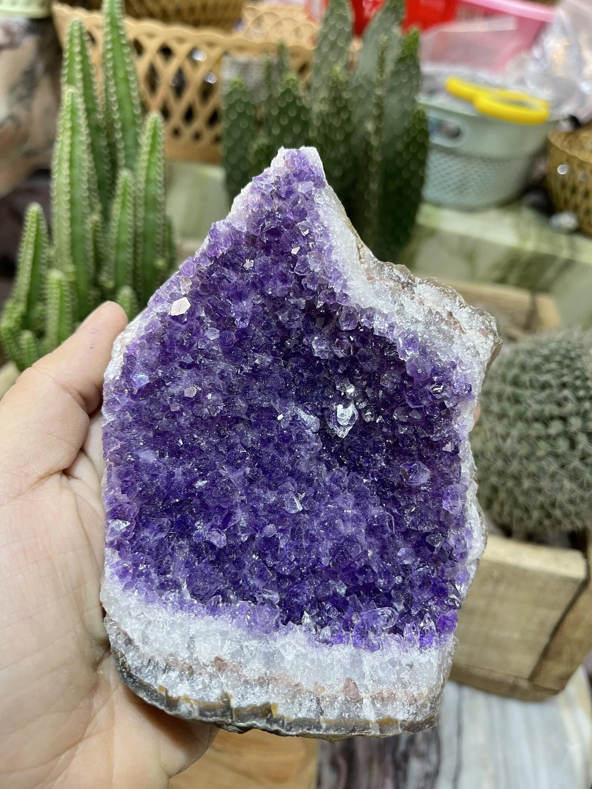 Thạch Anh Tím Uruguay - Uruguay Amethyst Cluster (TV142)