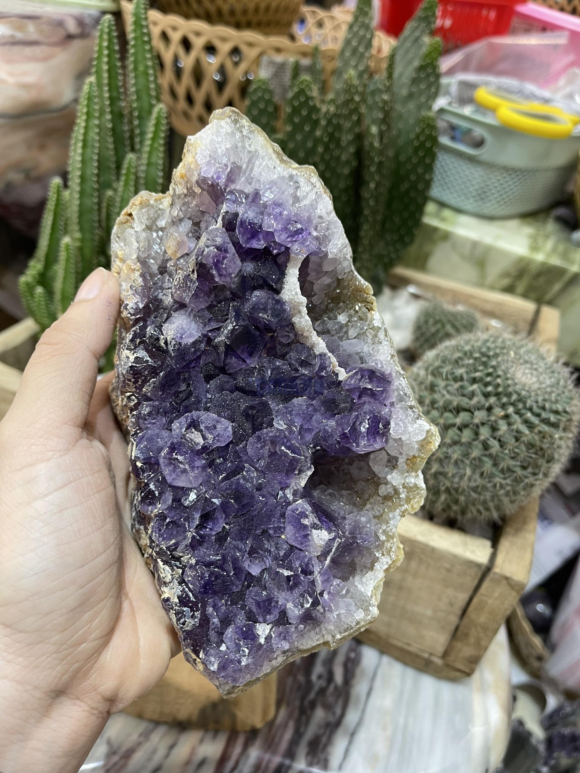 Thạch Anh Tím Uruguay - Uruguay Amethyst Cluster (TV143)