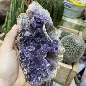 Thạch Anh Tím Uruguay - Uruguay Amethyst Cluster (TV143)