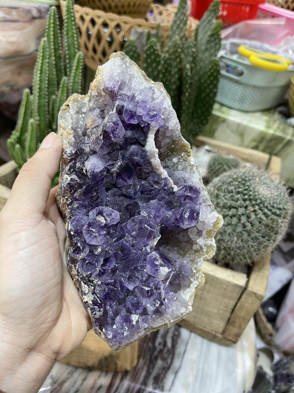 Thạch Anh Tím Uruguay - Uruguay Amethyst Cluster (TV143)