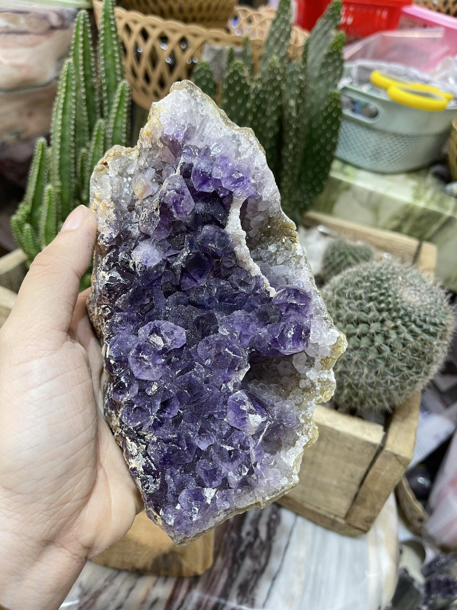 Thạch Anh Tím Uruguay - Uruguay Amethyst Cluster (TV143)