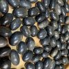 Gold Sheen Obsidian Tumbled - Đá Obsidian ánh vàng dạng sỏi