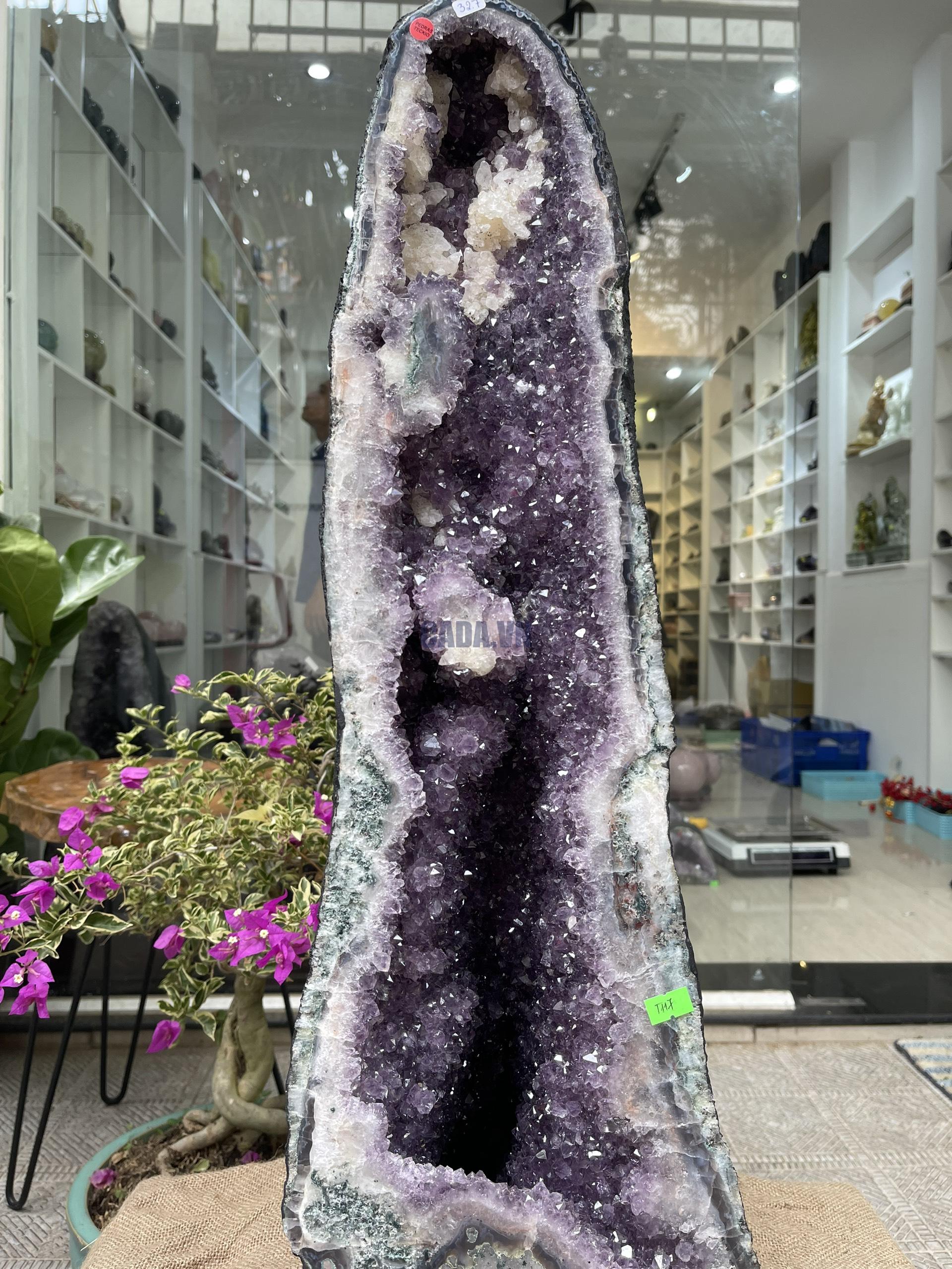 Hốc Thạch Anh Tím - Amethyst Geode (T117), KT: 75x24CM, KL: 32.7KG