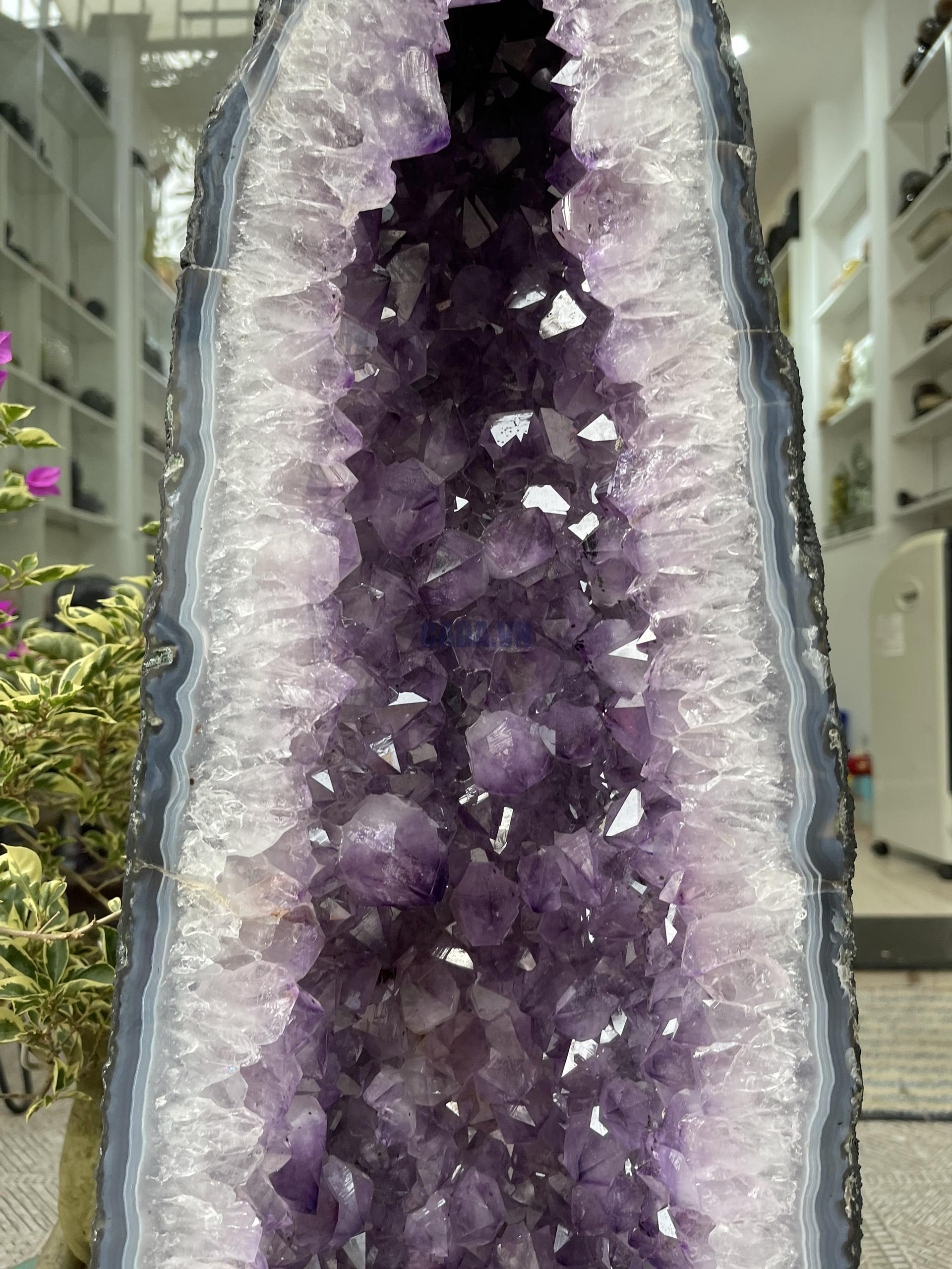 Hốc Thạch Anh Tím - Amethyst Geode (T121), KT: 89x23CM, KL: 54,7KG