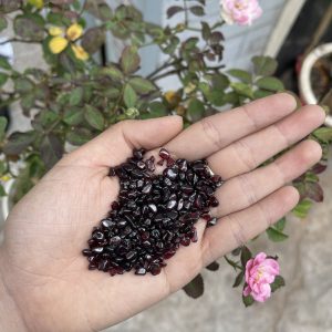 Đá vụn Ngọc Hồng Lựu - Garnet Gravel (100 Gram) | Đá vụn phong thủy