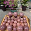 Bi cầu phong thủy Thach Anh Dâu Tây - Strawberry Quartz Sphere