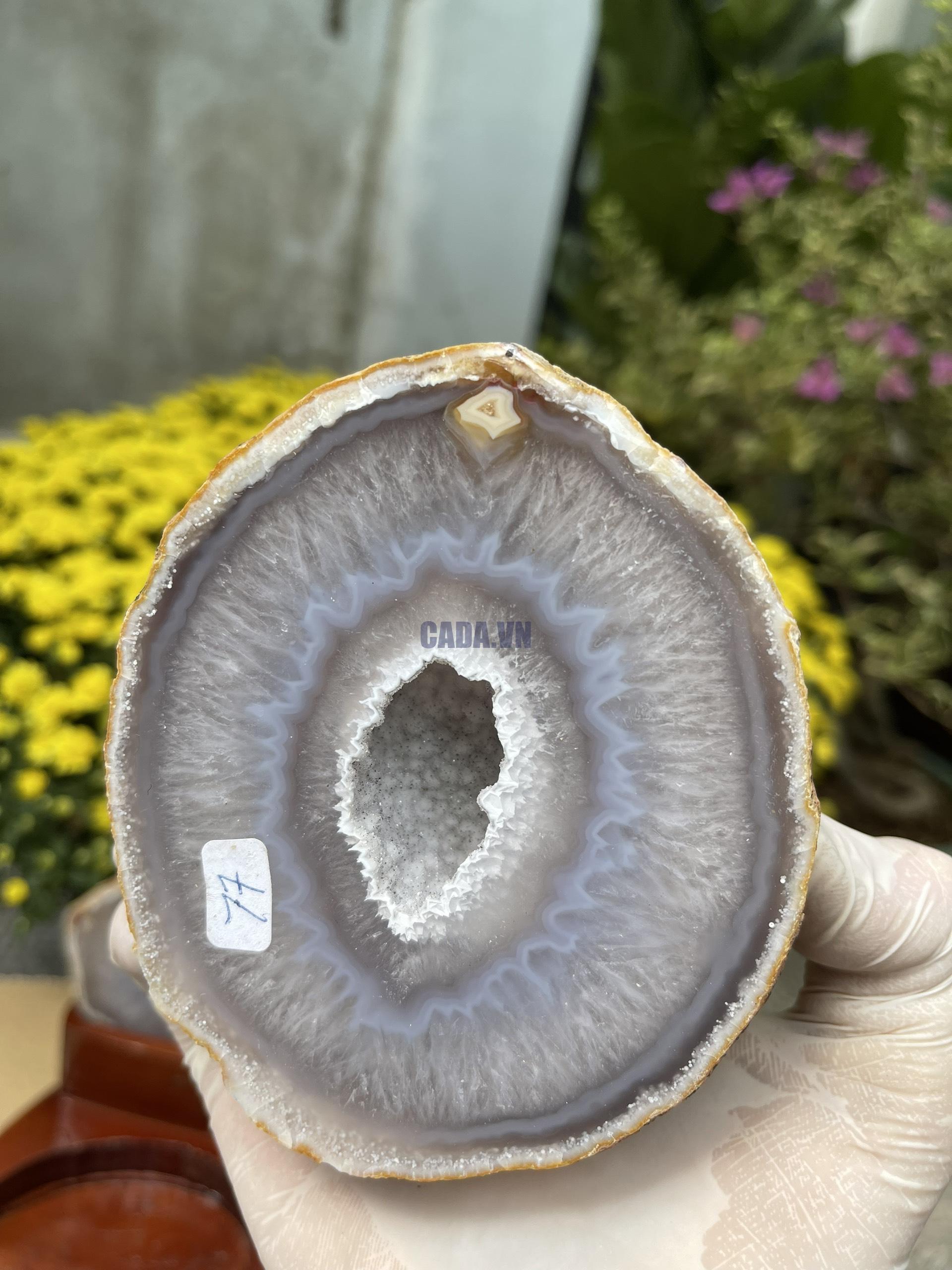 BÁT TỤ LỘC KT: 13.5×14 CM, KL: 1.5 KG