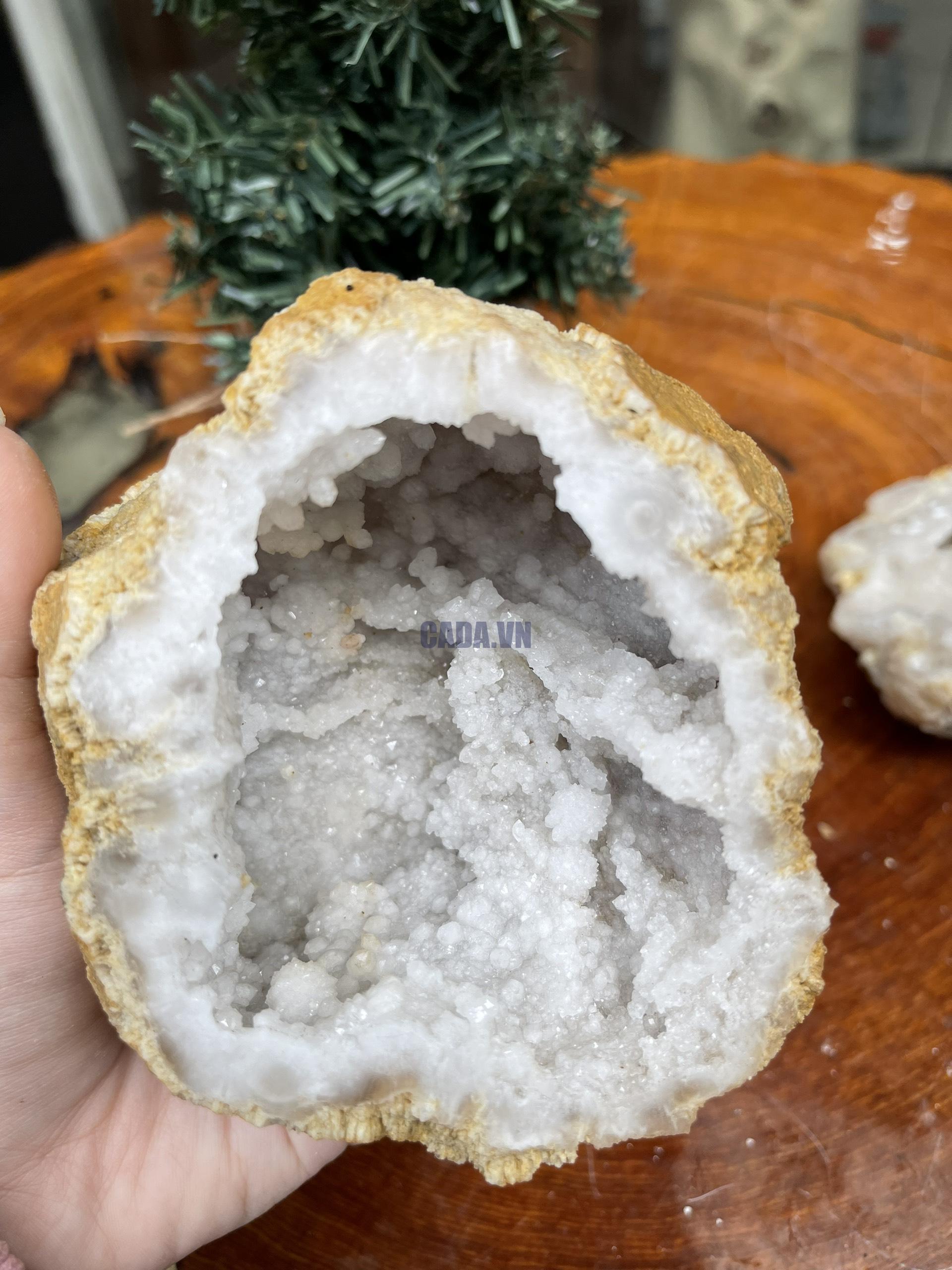 BÁT TỤ LỘC KT: 16×11 CM