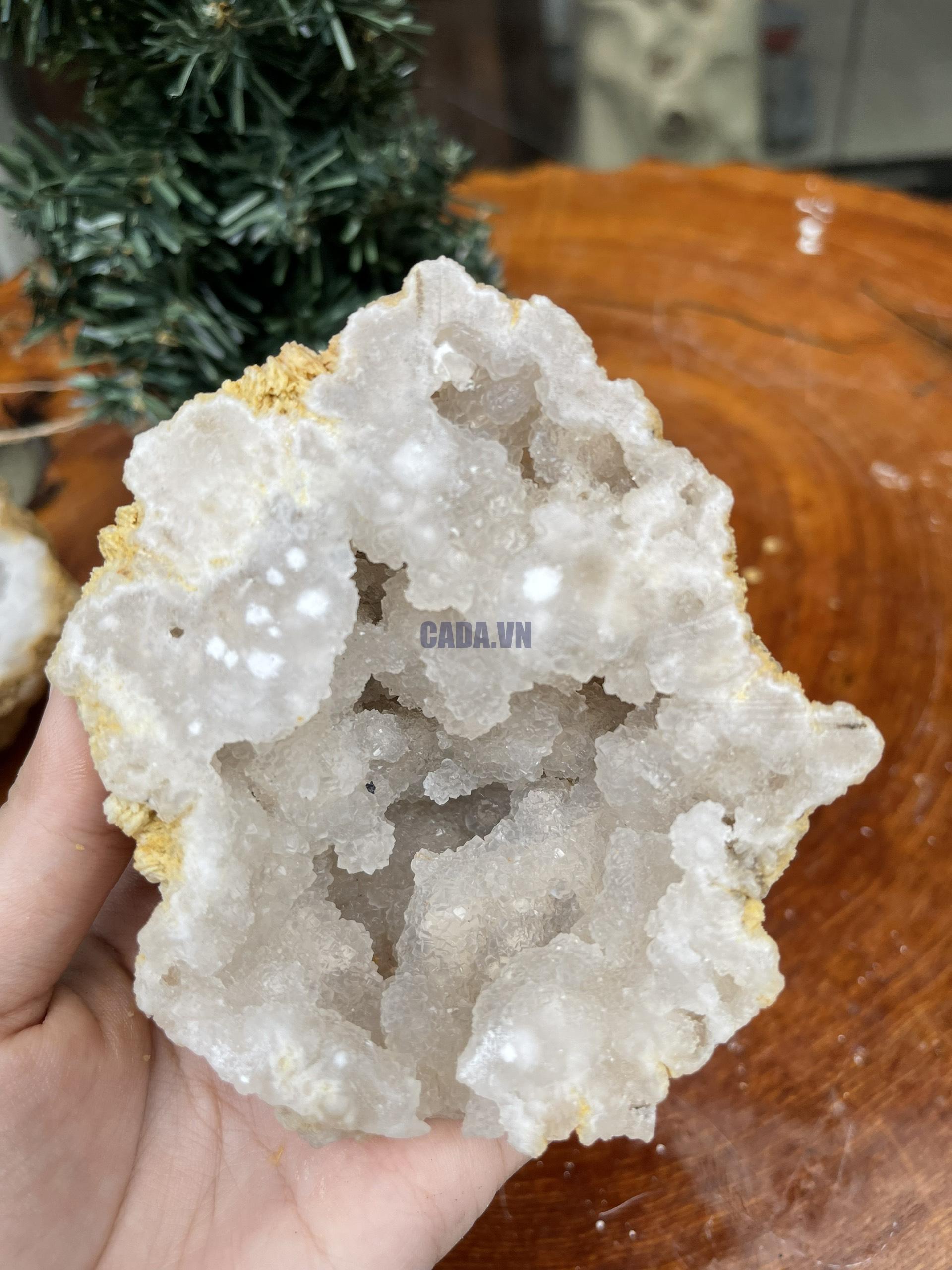 BÁT TỤ LỘC KT: 16×11 CM