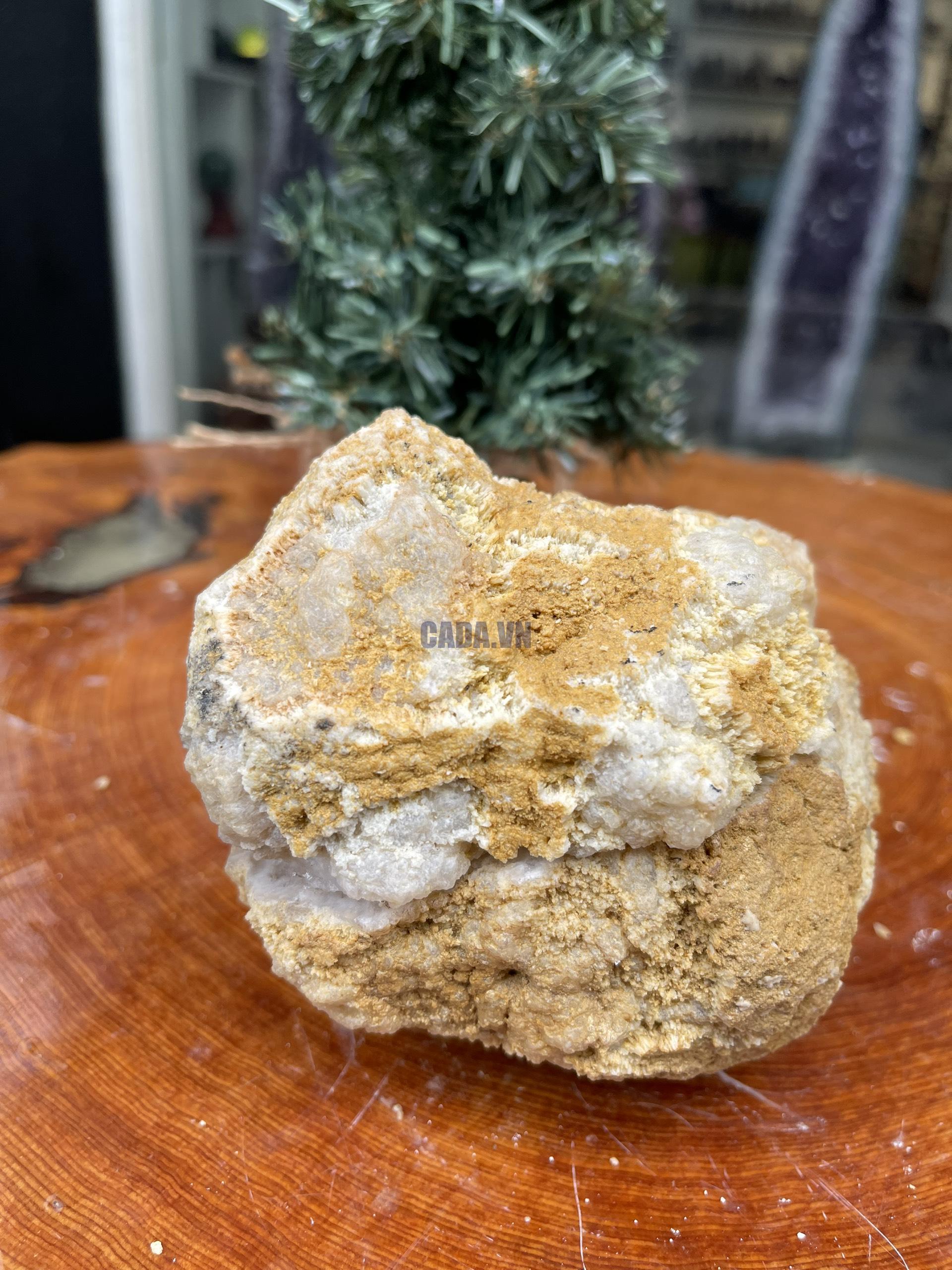 BÁT TỤ LỘC KT: 16×11 CM