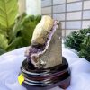 HỐC THẠCH ANH TÍM NHỎ – SMALL AMETHYST GEODE TU83