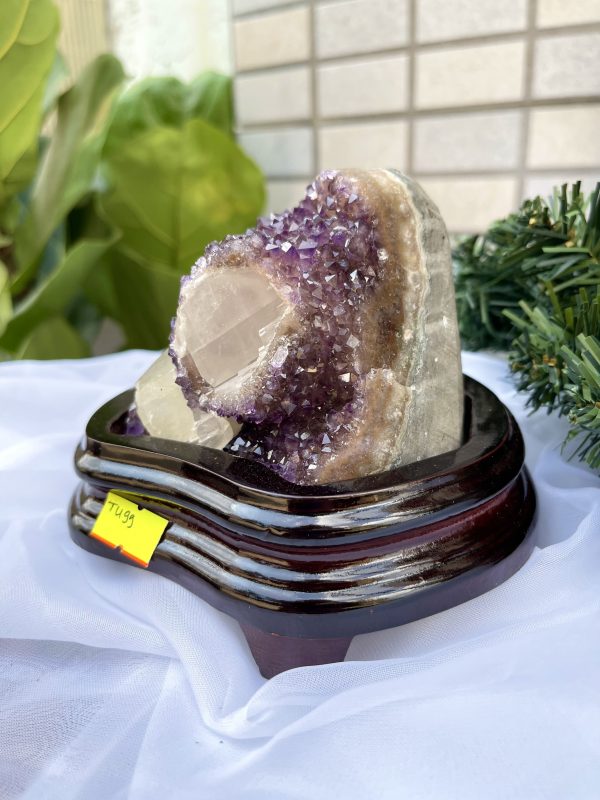 HỐC THẠCH ANH TÍM NHỎ – SMALL AMETHYST GEODE TU99