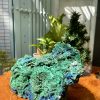 MALACHITE RAW – ĐÁ LÔNG CÔNG THÔ – ĐÁ KHỔNG TƯỚC THÔ (TLC5)
