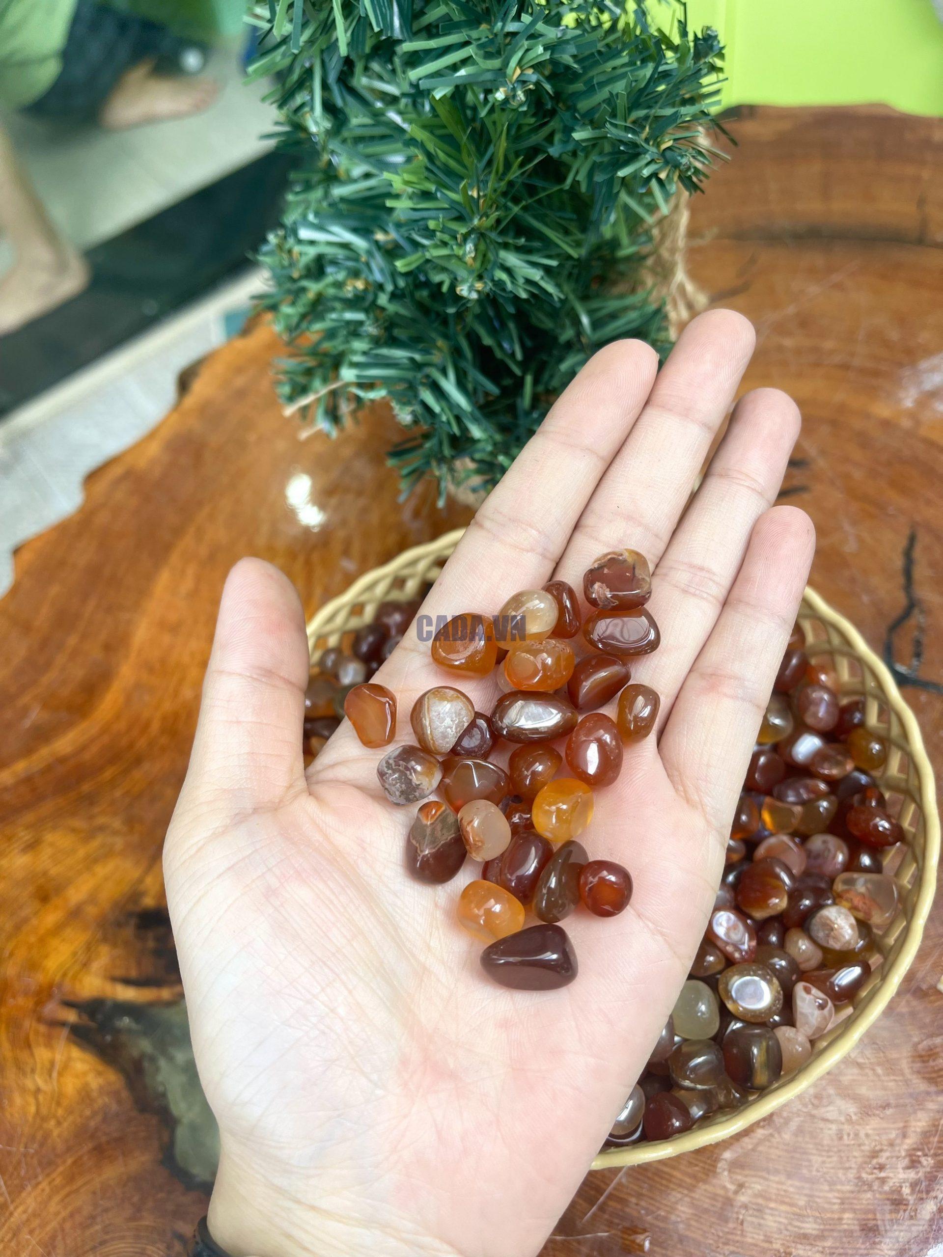 Đá vụn Carnelian - Carnelian Gravel