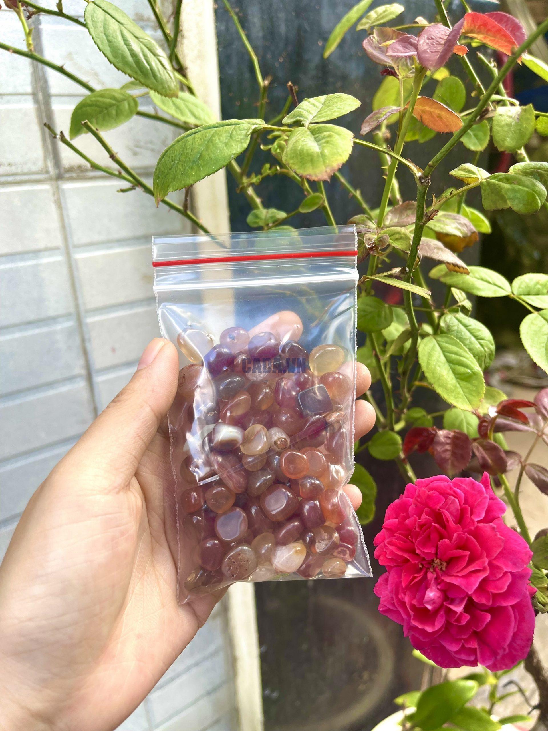 Đá vụn Carnelian - Carnelian Gravel