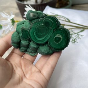 ĐÁ LÔNG CÔNG – ĐÁ KHỔNG TƯỚC – MALACHITE (LC29), KT: 8.5×6.5 CM; KL: 0.3KG