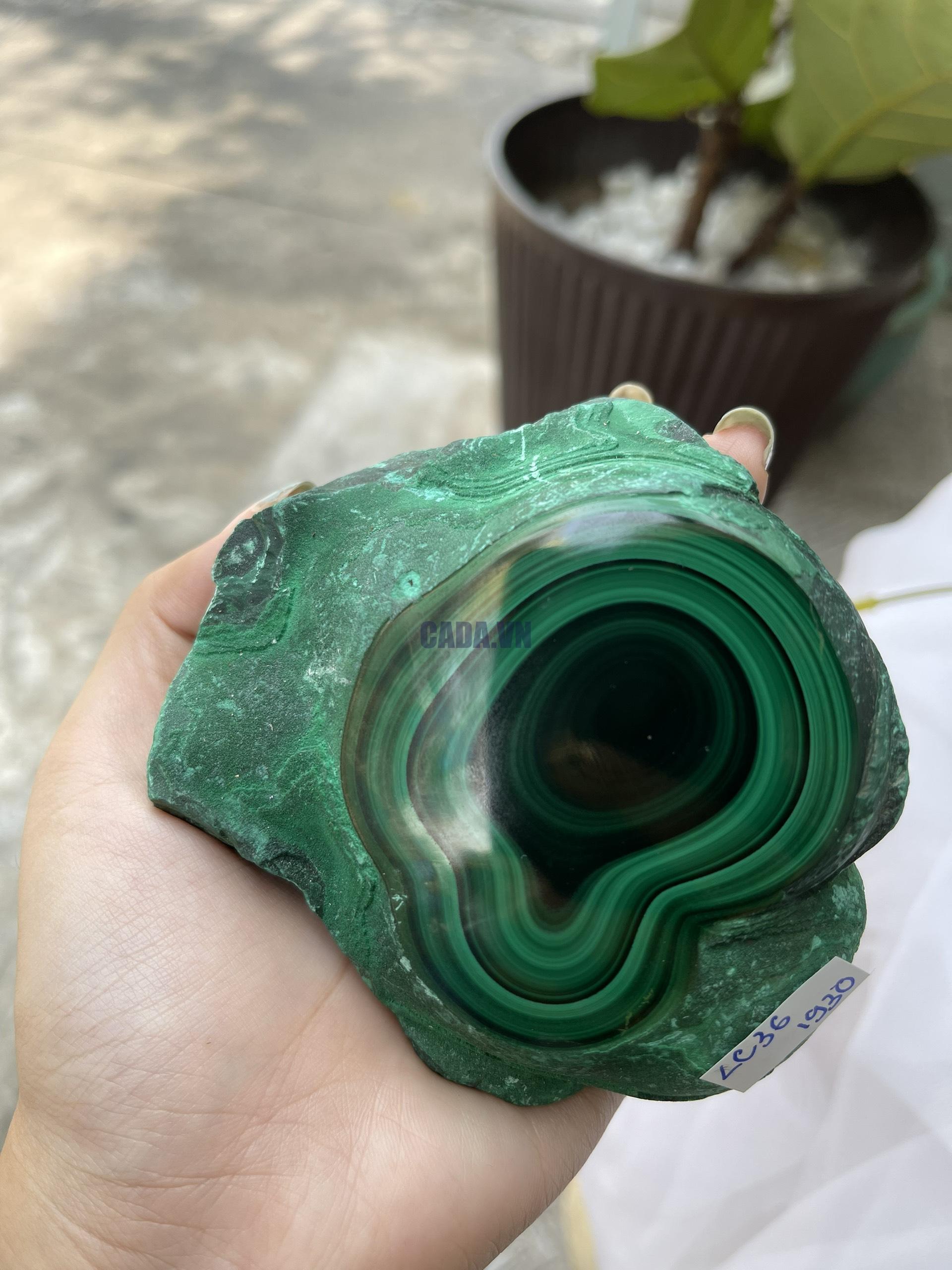 ĐÁ LÔNG CÔNG – ĐÁ KHỔNG TƯỚC – MALACHITE (LC36), KT: 10.3×9.3 CM; KL: 0.642KG