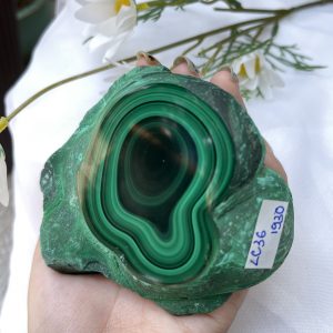 ĐÁ LÔNG CÔNG – ĐÁ KHỔNG TƯỚC – MALACHITE (LC36), KT: 10.3×9.3 CM; KL: 0.642KG