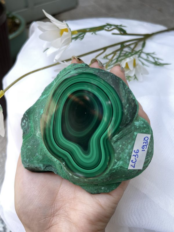 ĐÁ LÔNG CÔNG – ĐÁ KHỔNG TƯỚC – MALACHITE (LC36), KT: 10.3×9.3 CM; KL: 0.642KG