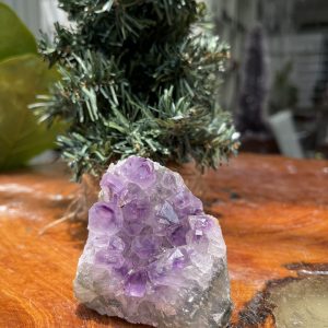HỐC THẠCH ANH TÍM NHỎ – SMALL AMETHYST GEODE (TV300), KL: 0.308KG, KT: 7×7CM