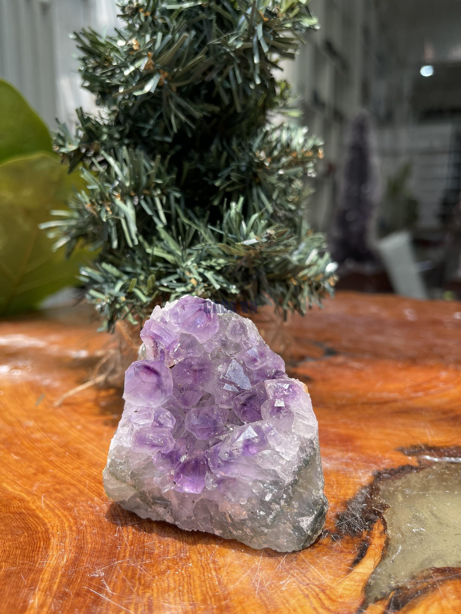 HỐC THẠCH ANH TÍM NHỎ – SMALL AMETHYST GEODE (TV300), KL: 0.308KG, KT: 7×7CM