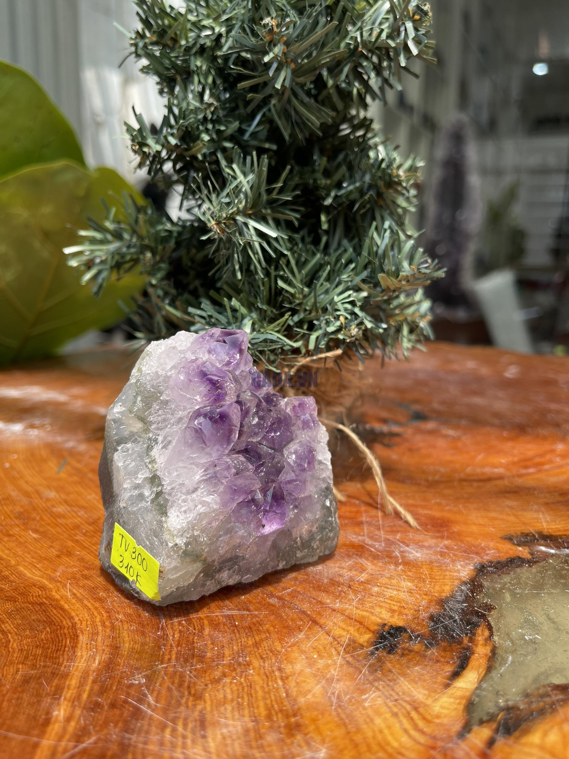 HỐC THẠCH ANH TÍM NHỎ – SMALL AMETHYST GEODE (TV300), KL: 0.308KG, KT: 7×7CM