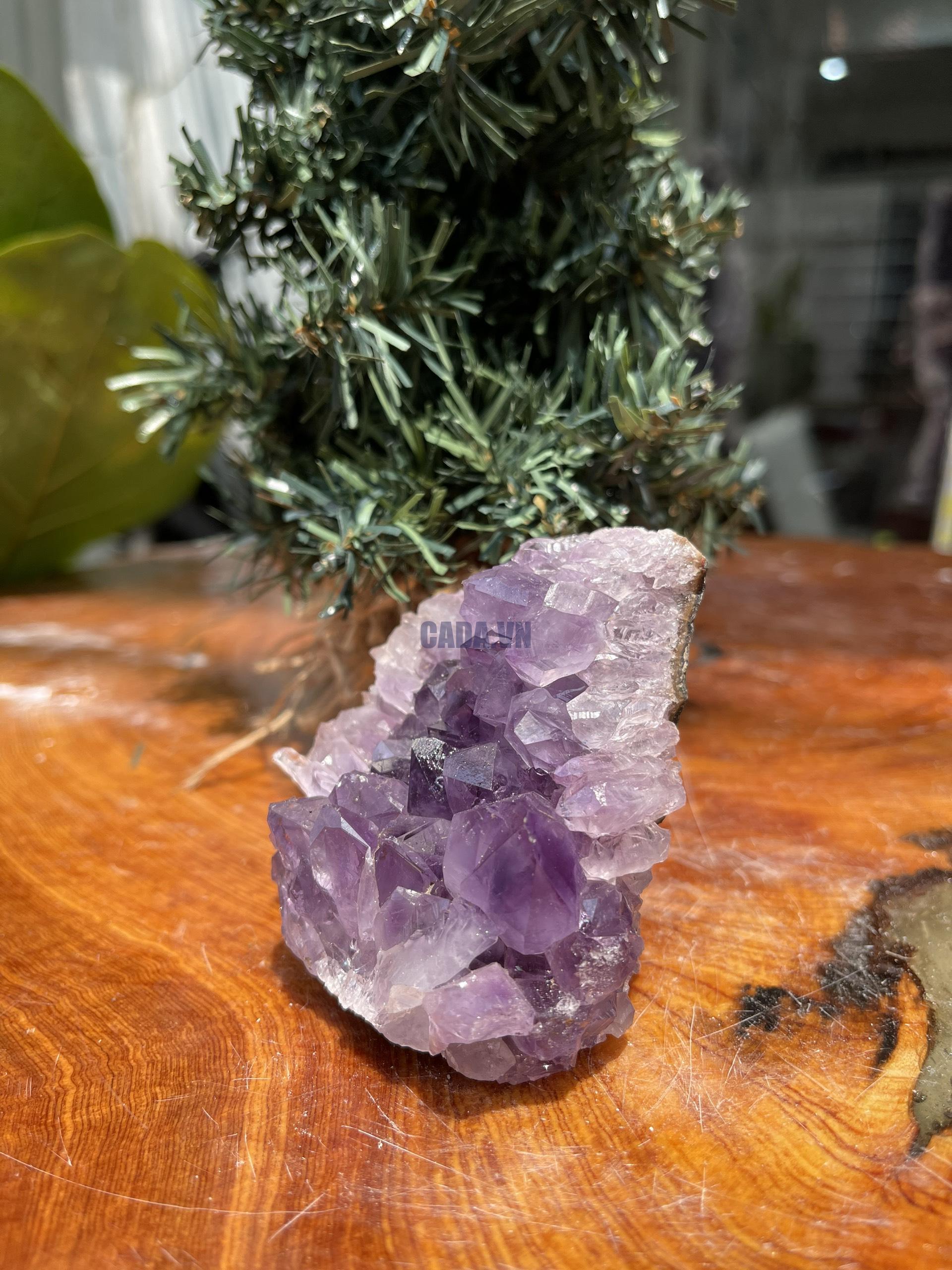 HỐC THẠCH ANH TÍM NHỎ – SMALL AMETHYST GEODE (TV301), KL: 0.252KG, KT: 8×6 CM