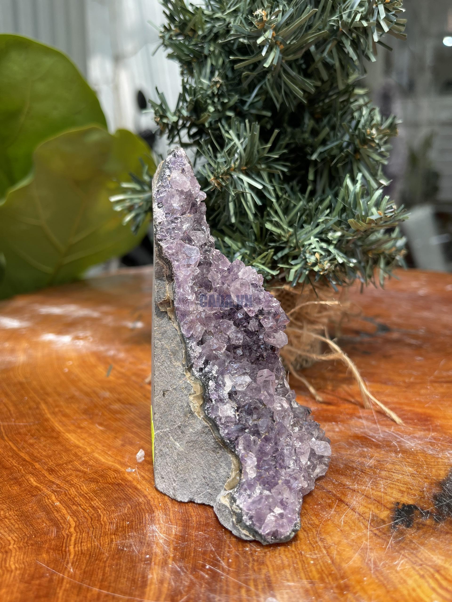 HỐC THẠCH ANH TÍM NHỎ – SMALL AMETHYST GEODE (TV303), KL: 0.214KG, KT: 11×5 CM