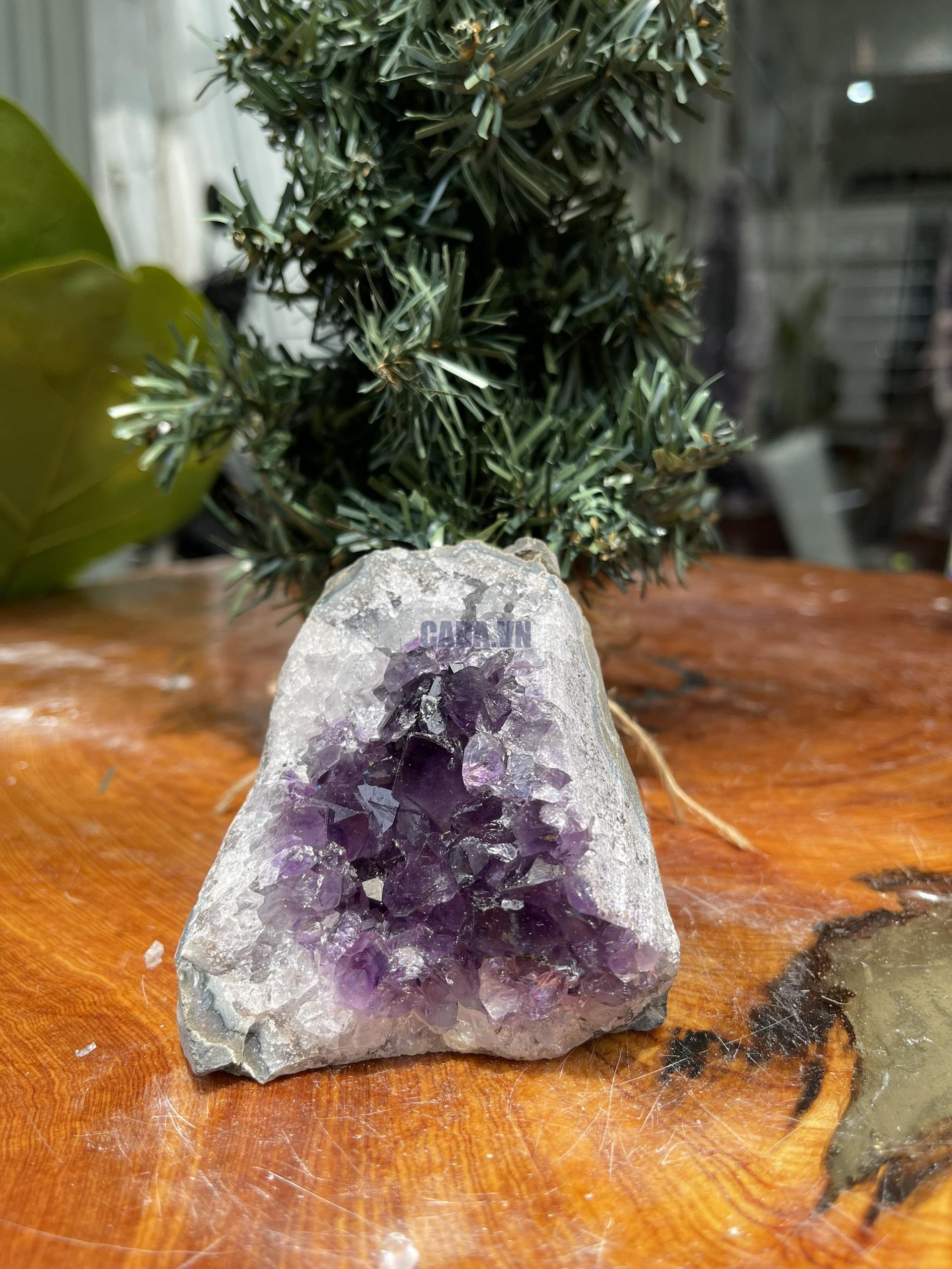 HỐC THẠCH ANH TÍM NHỎ – SMALL AMETHYST GEODE (TV307), KL: 0.406KG, KT: 8×7 CM