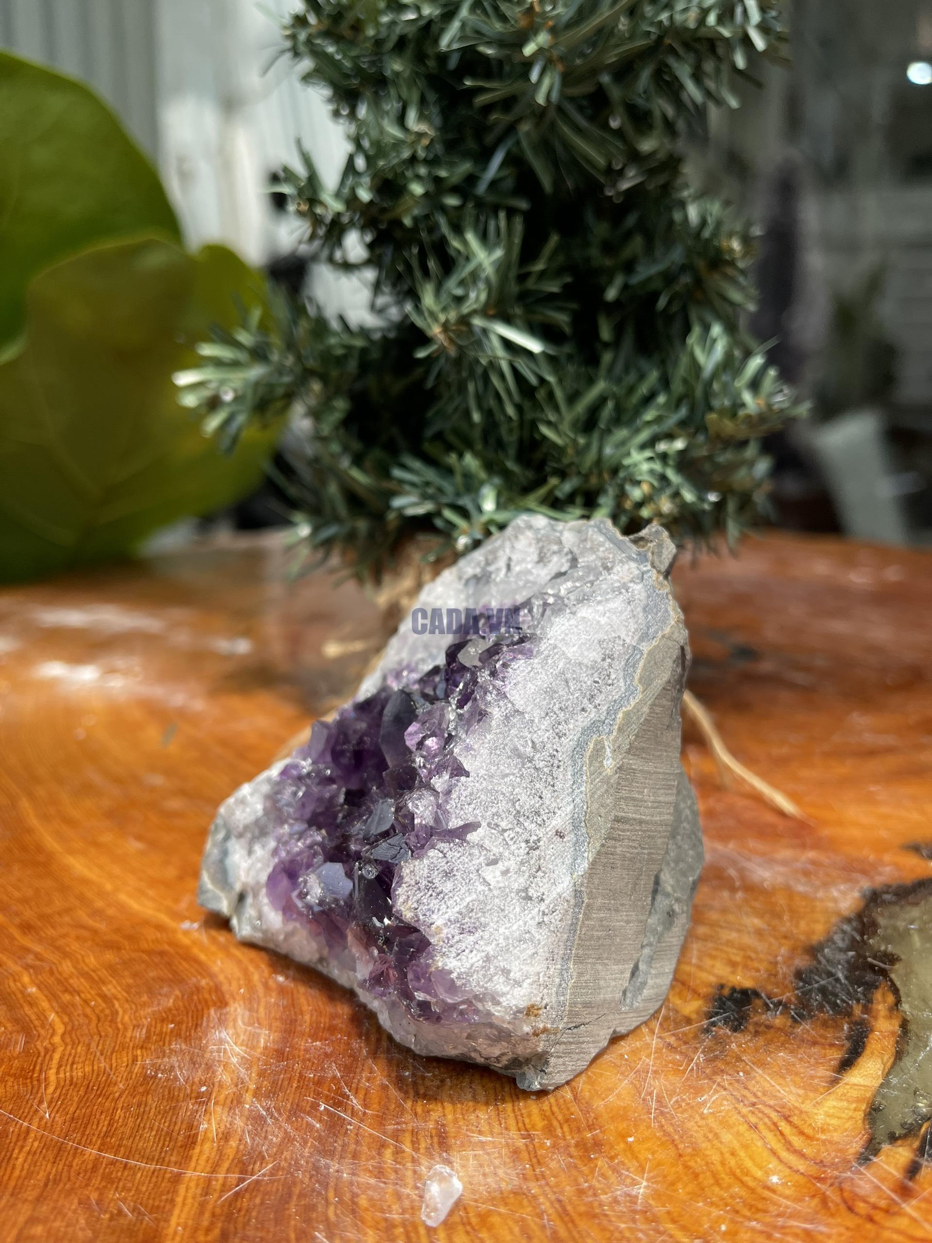 HỐC THẠCH ANH TÍM NHỎ – SMALL AMETHYST GEODE (TV307), KL: 0.406KG, KT: 8×7 CM