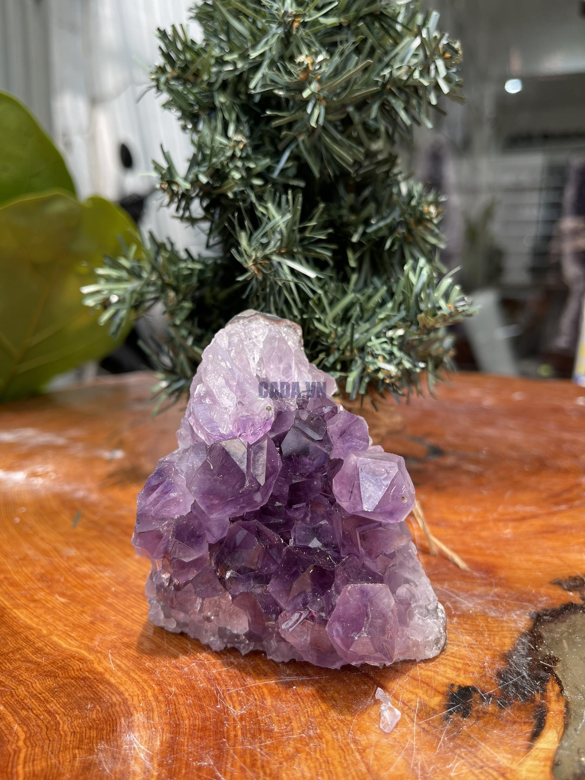 HỐC THẠCH ANH TÍM NHỎ – SMALL AMETHYST GEODE (TV314), KL: 0.472KG, KT: 9×8 CM