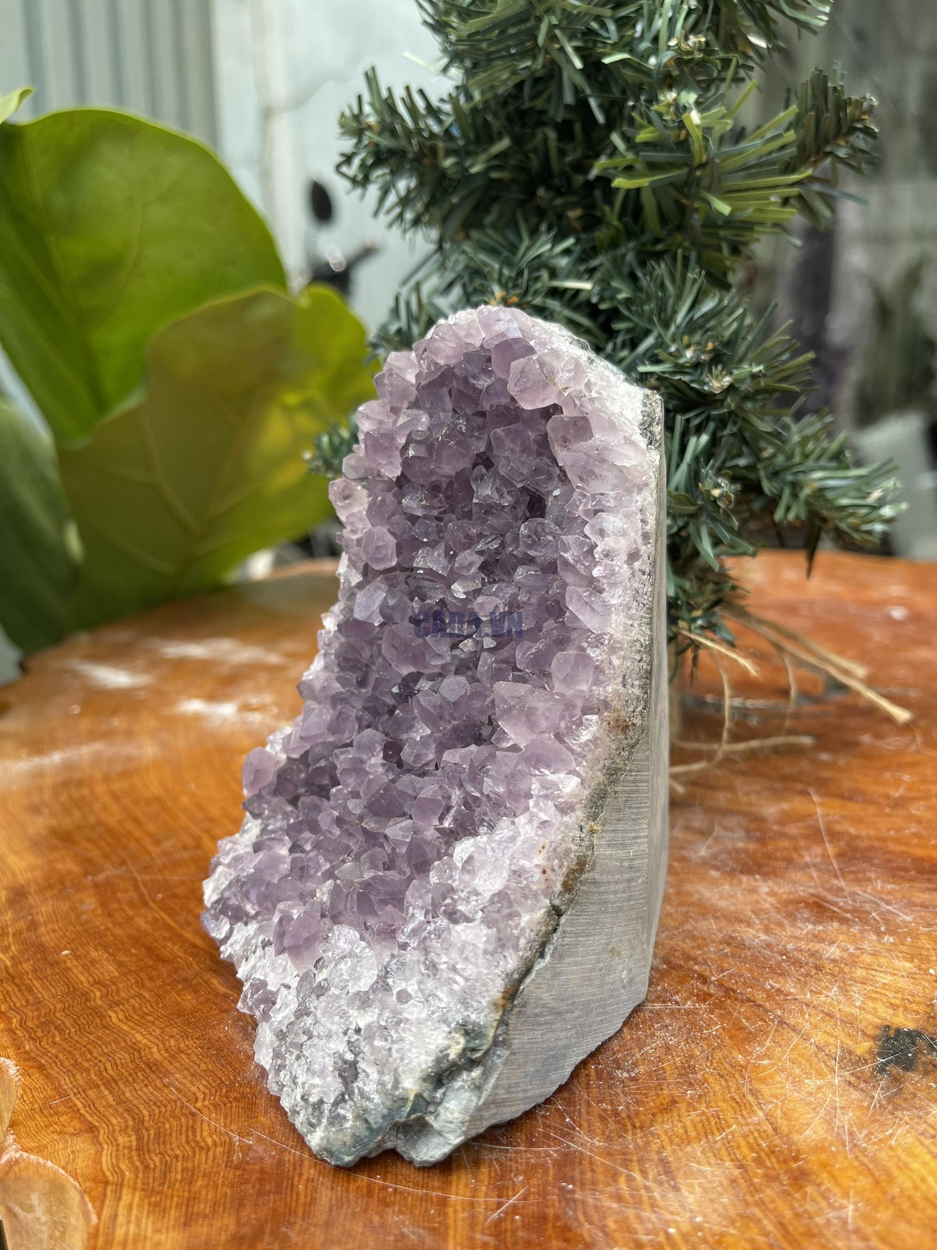 HỐC THẠCH ANH TÍM NHỎ – SMALL AMETHYST GEODE (TV317), KL: 0.988KG, KT: 13×8 CM