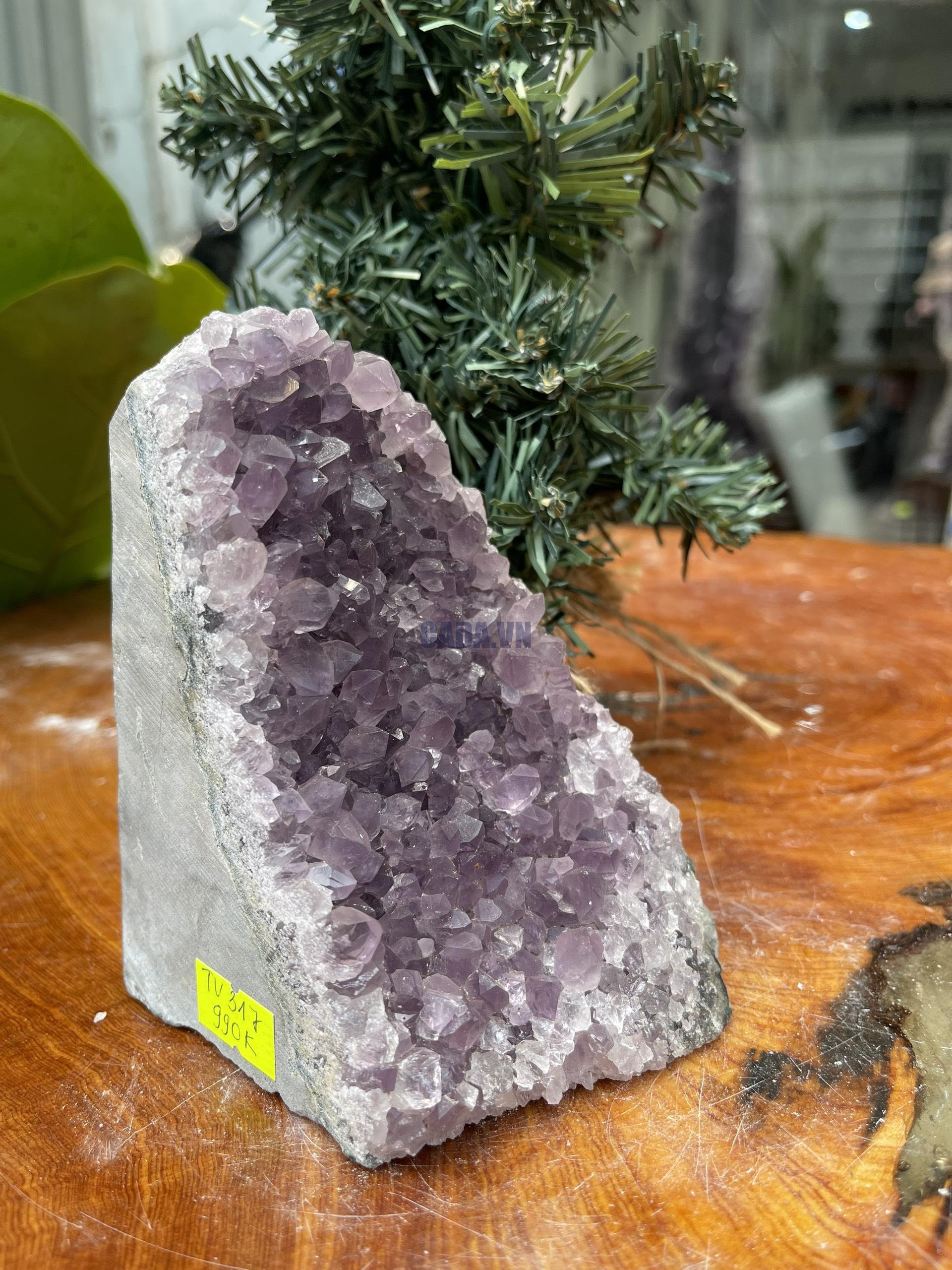 HỐC THẠCH ANH TÍM NHỎ – SMALL AMETHYST GEODE (TV317), KL: 0.988KG, KT: 13×8 CM