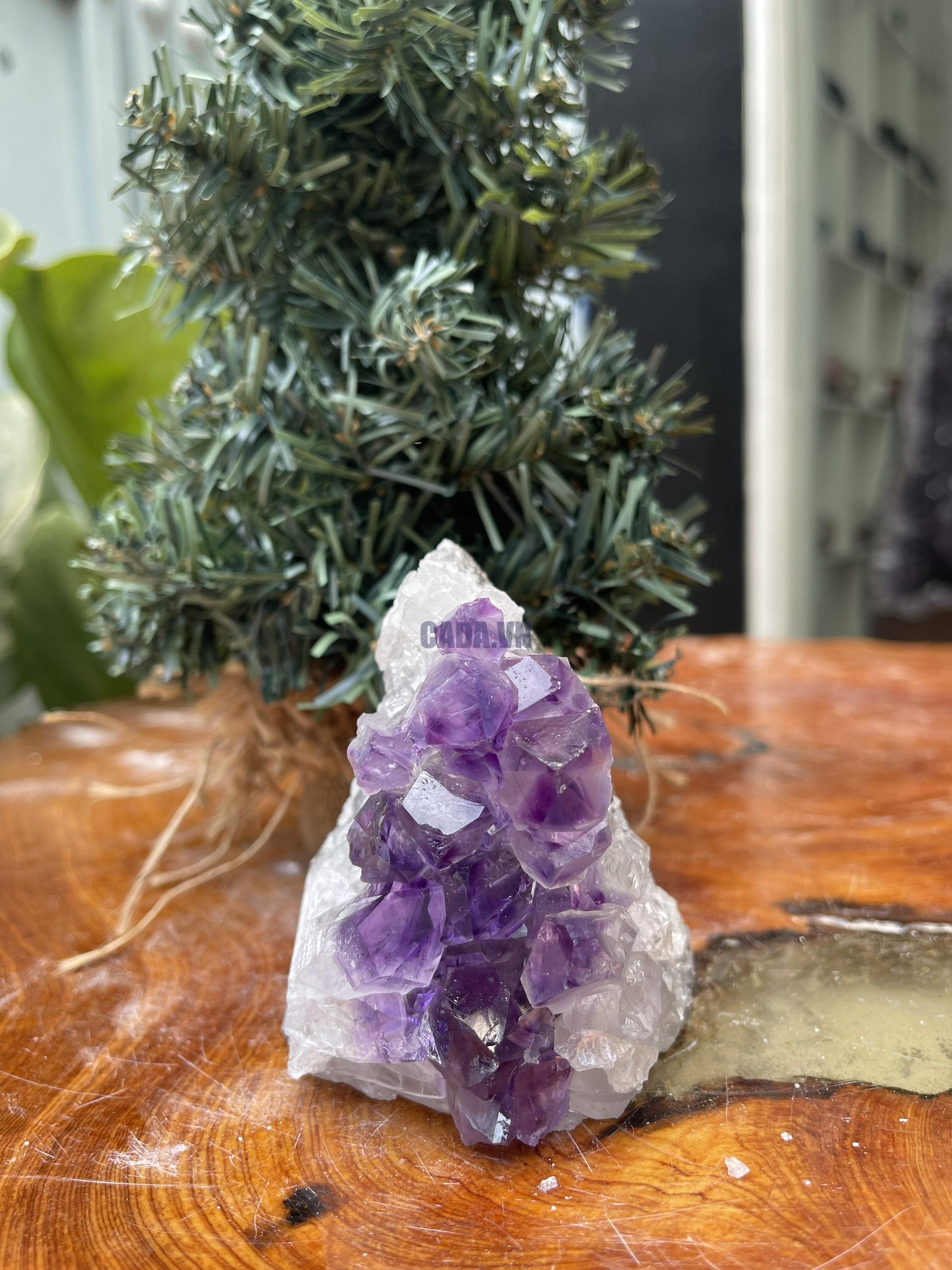 HỐC THẠCH ANH TÍM NHỎ – SMALL AMETHYST GEODE (TV318), KL: 0.414KG, KT: 9×7 CM