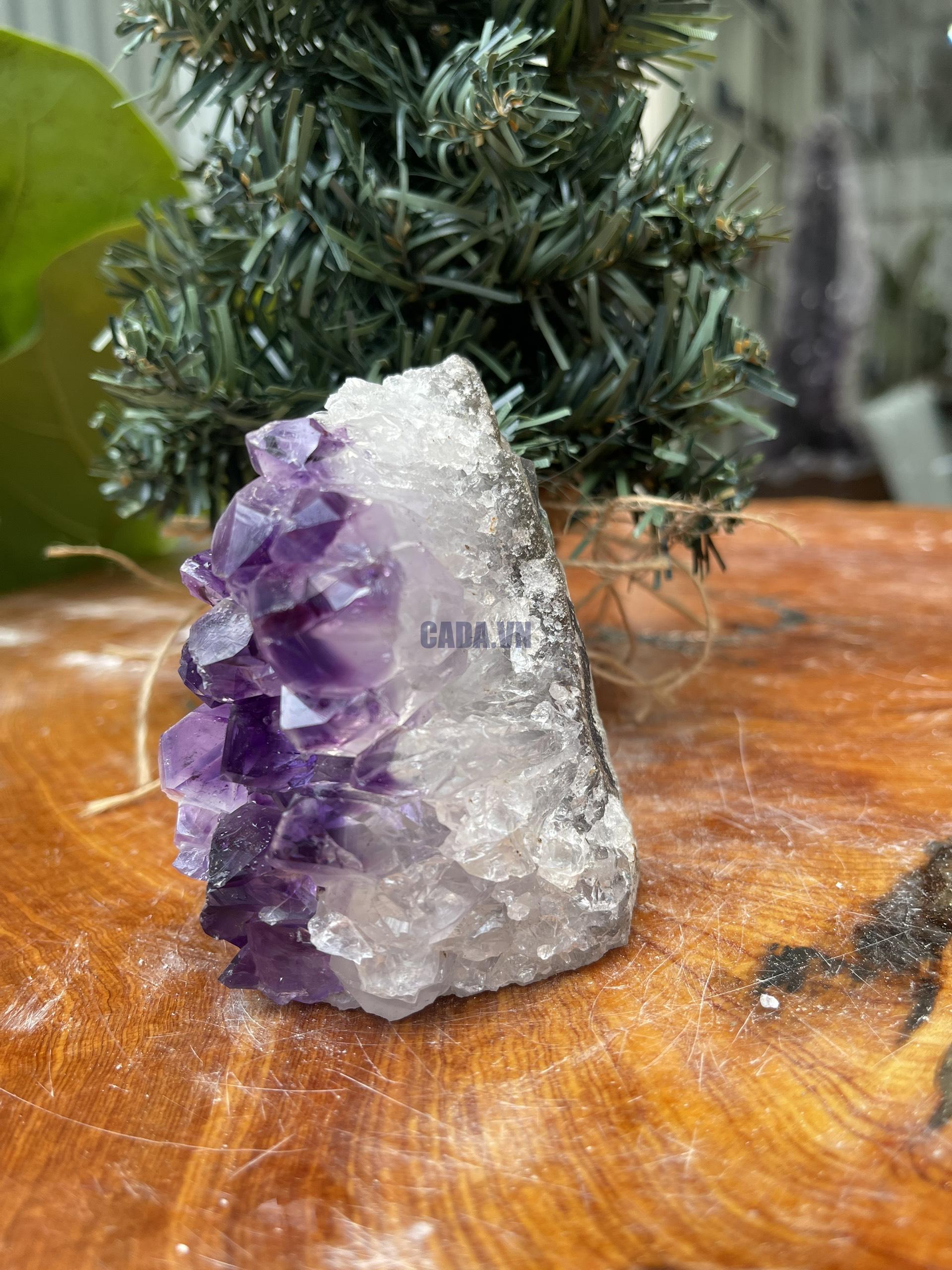 HỐC THẠCH ANH TÍM NHỎ – SMALL AMETHYST GEODE (TV318), KL: 0.414KG, KT: 9×7 CM