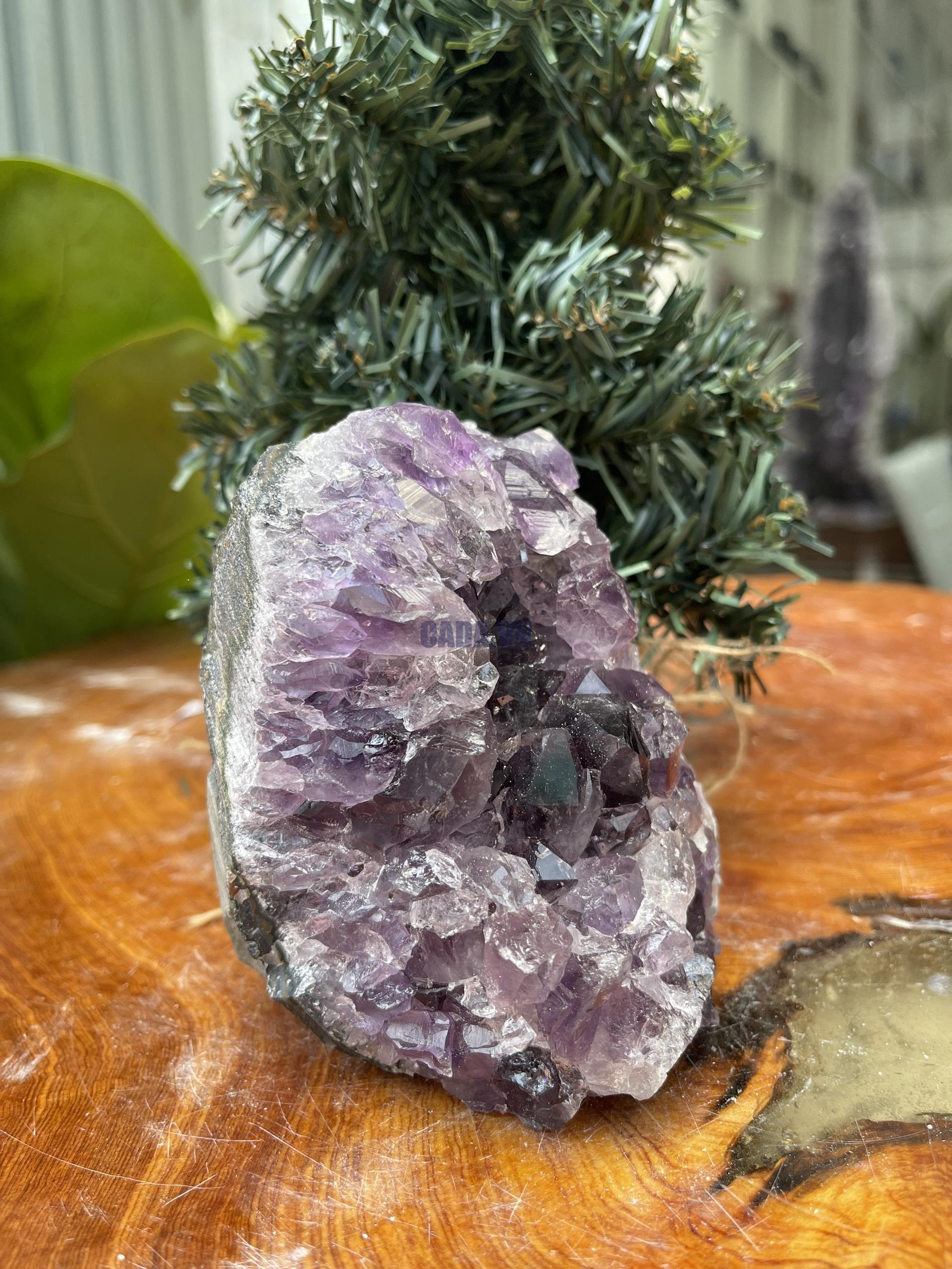 HỐC THẠCH ANH TÍM NHỎ – SMALL AMETHYST GEODE (TV330), KL: 0.856KG, KT: 11×7 CM