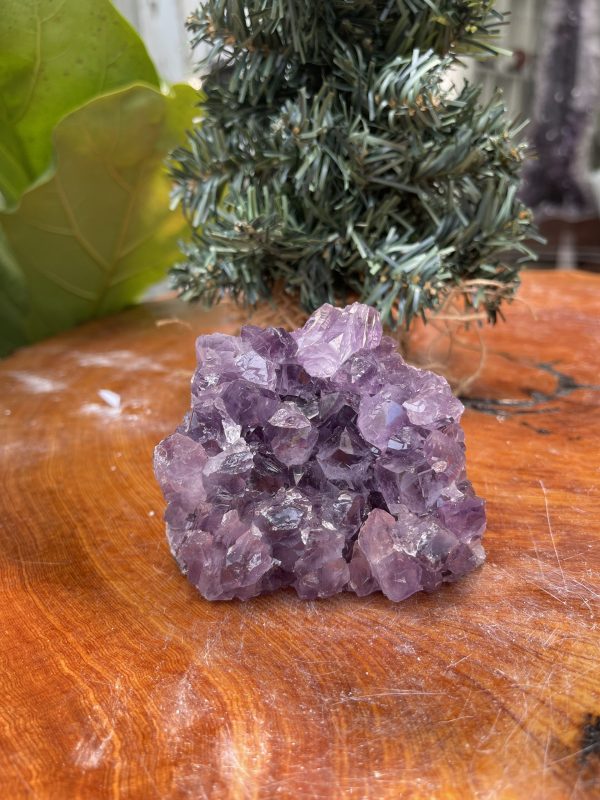 HỐC THẠCH ANH TÍM NHỎ – SMALL AMETHYST GEODE (TV339), KL: 0.540KG, KT: 7×9 CM